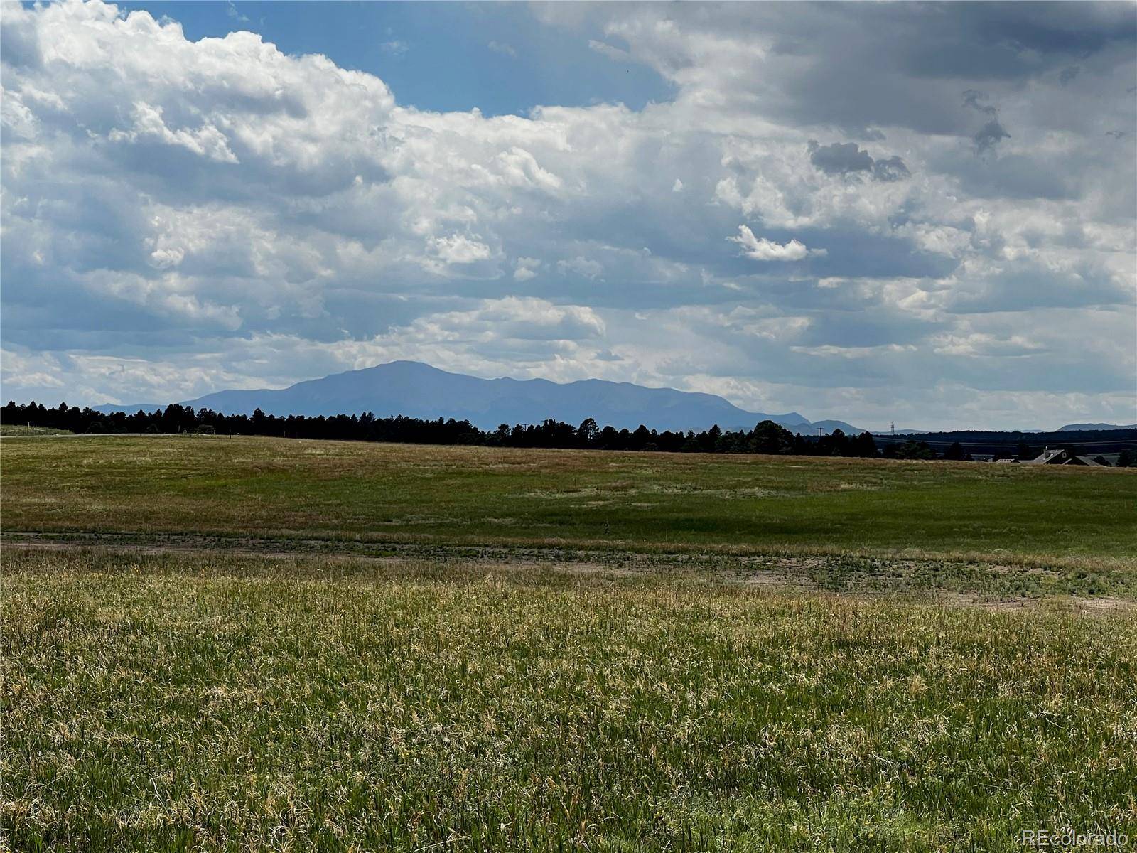 16990 Early Light DR, Colorado Springs, CO 80908