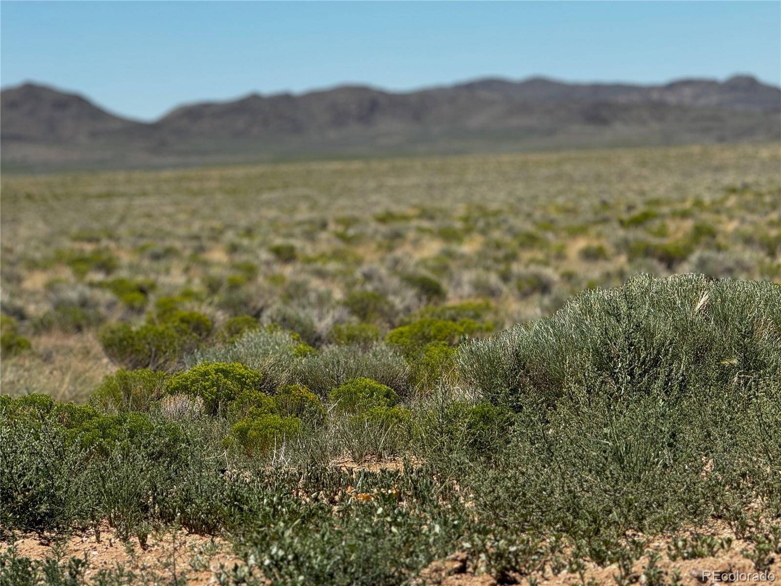 Lot 19 Nancy BLVD, San Luis, CO 81152