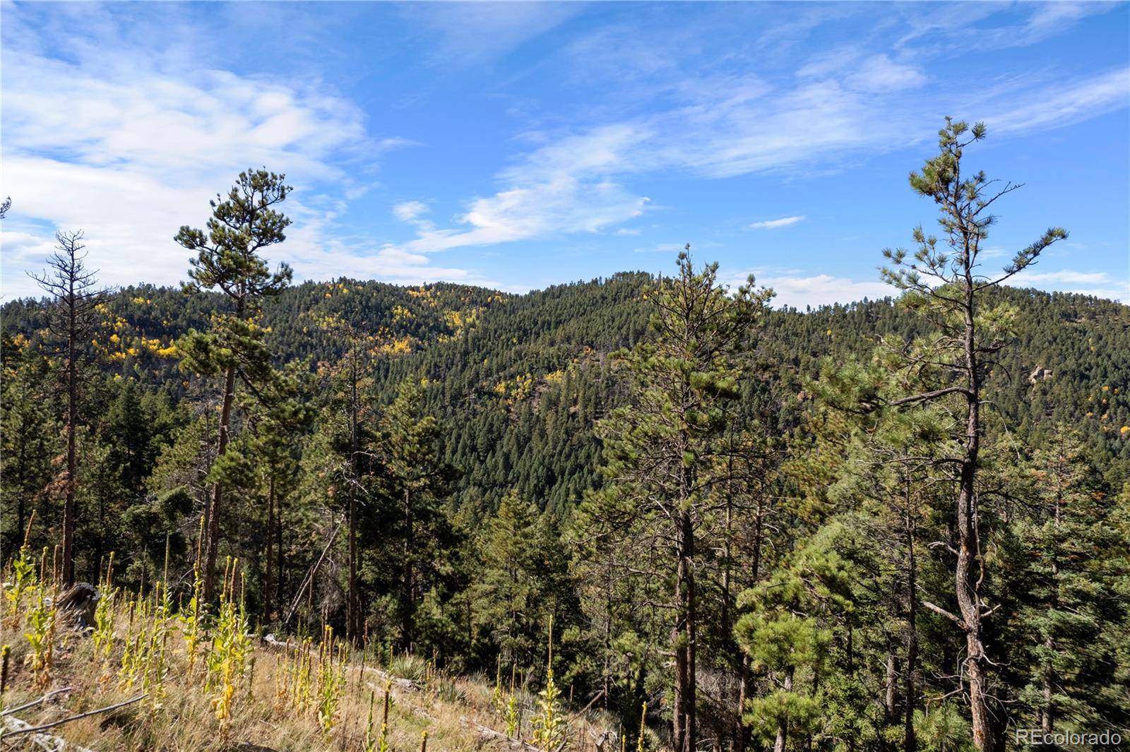 13126 Andiron WAY, Larkspur, CO 80118