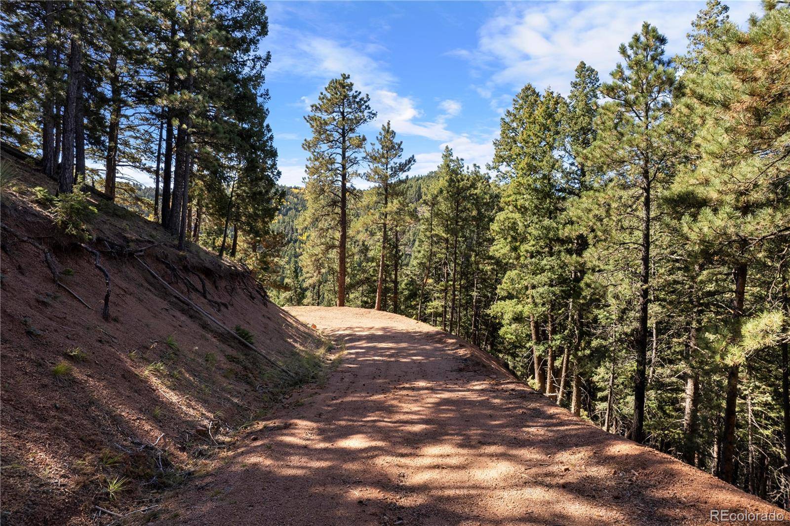 13126 Andiron WAY, Larkspur, CO 80118