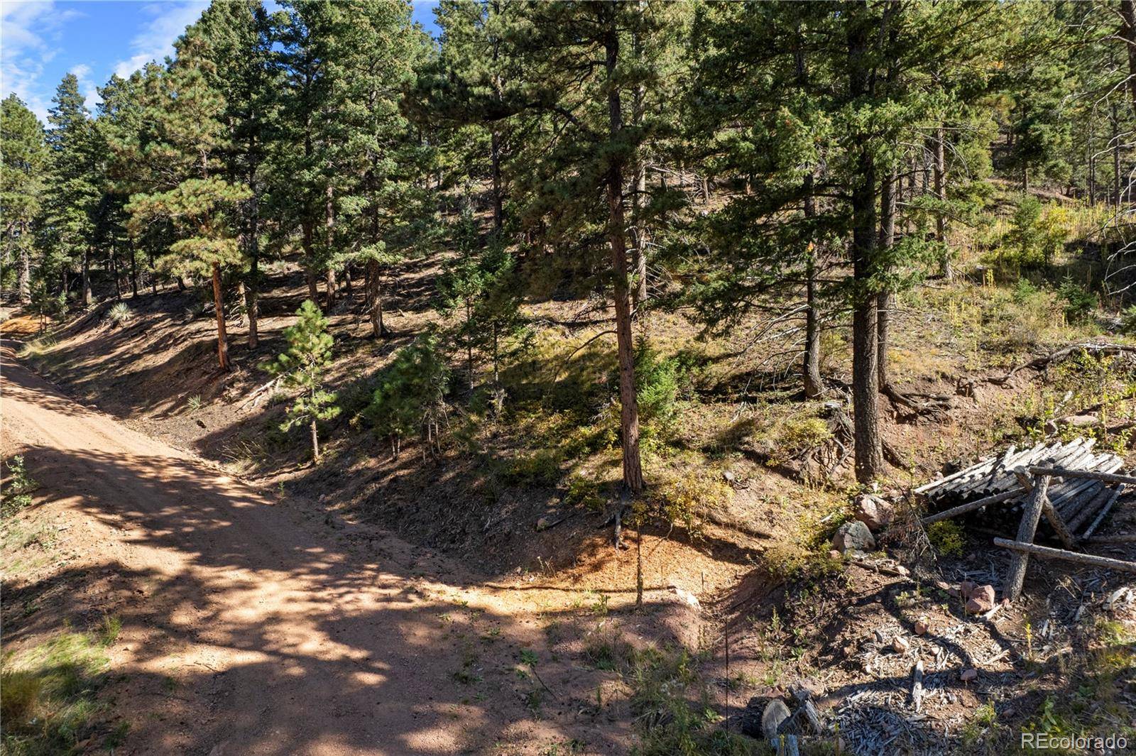 13126 Andiron WAY, Larkspur, CO 80118