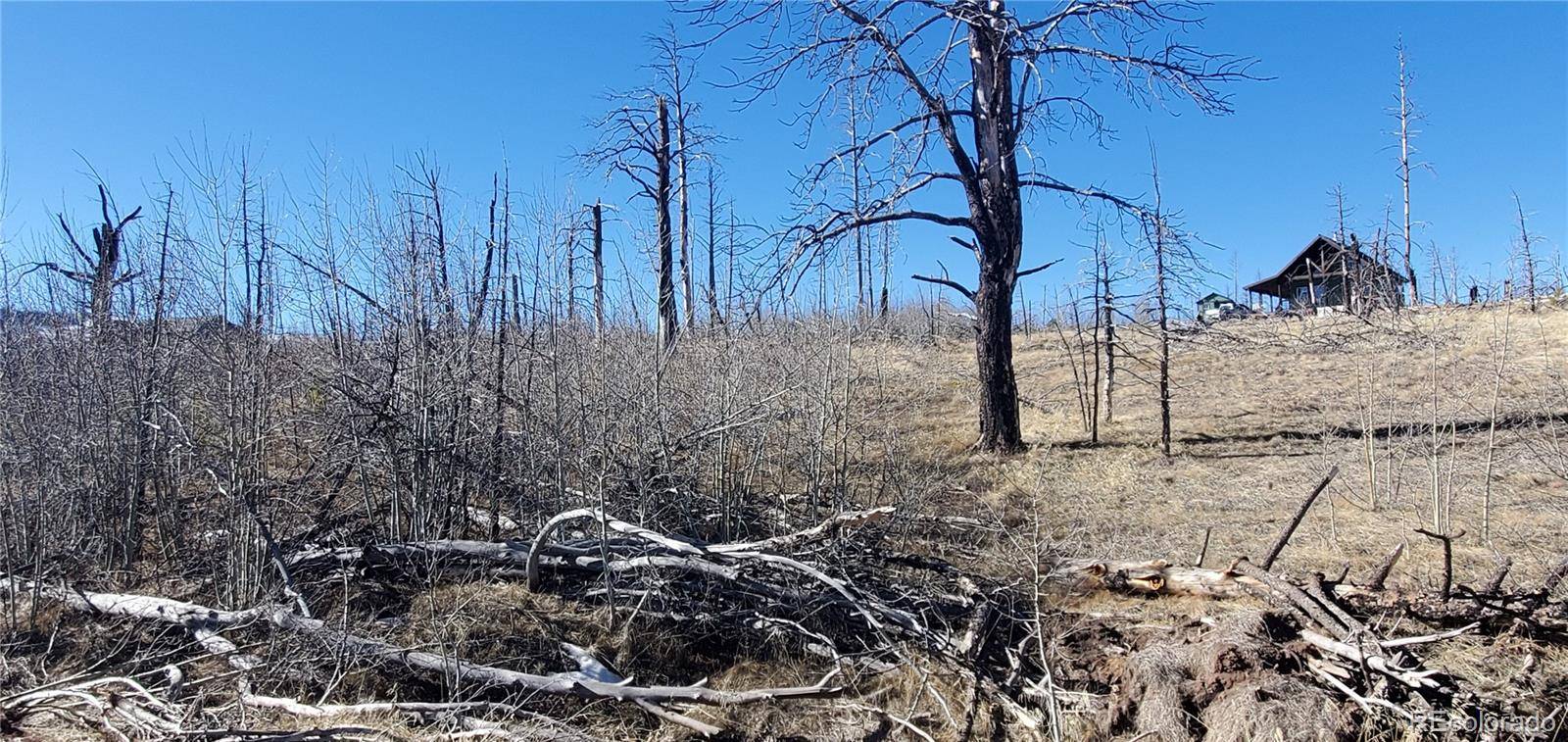 Lot 1566 Cary LN, Fort Garland, CO 81133