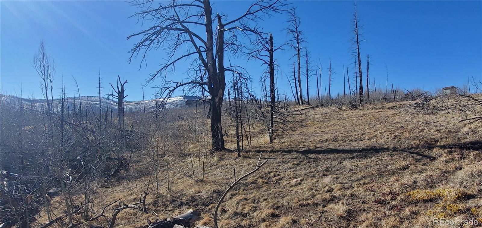 Lot 1566 Cary LN, Fort Garland, CO 81133