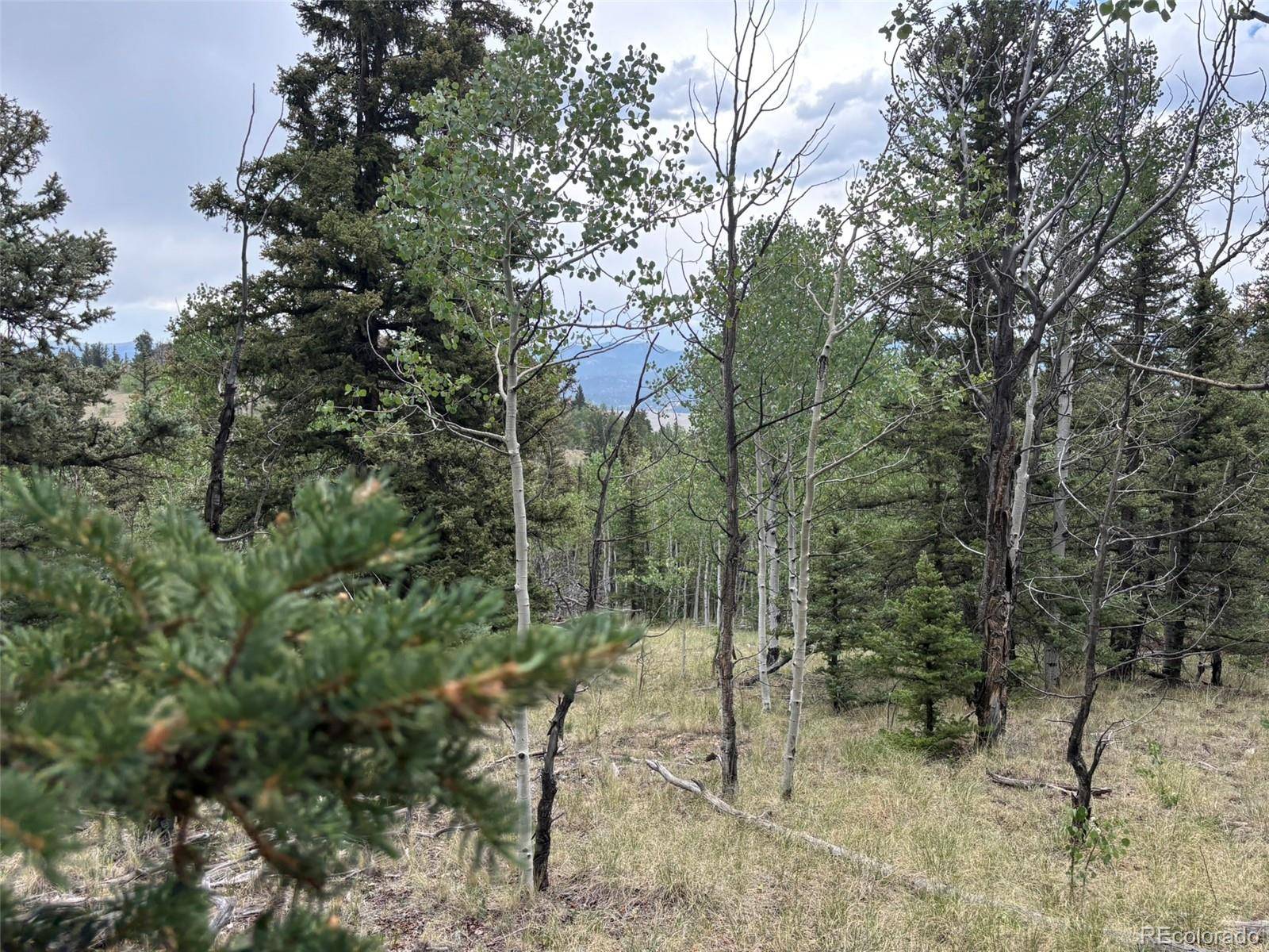 1928 Wells Fargo CIR, Jefferson, CO 80456