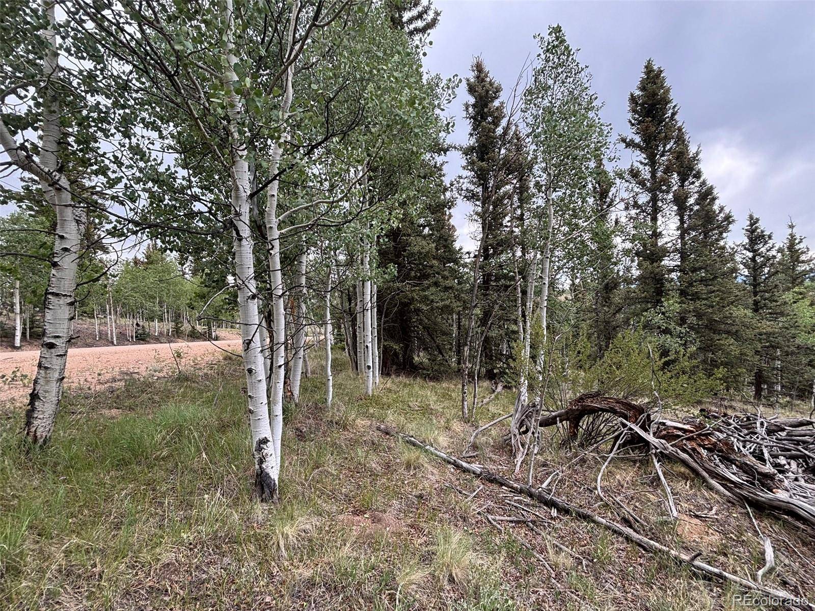 1928 Wells Fargo CIR, Jefferson, CO 80456