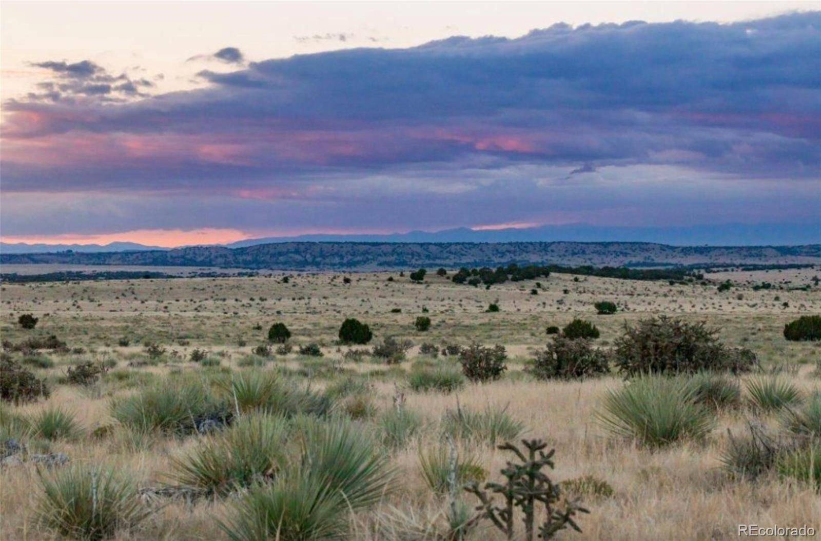 Lot# 232 Turkey Ridge Ranch, Walsenburg, CO 81089