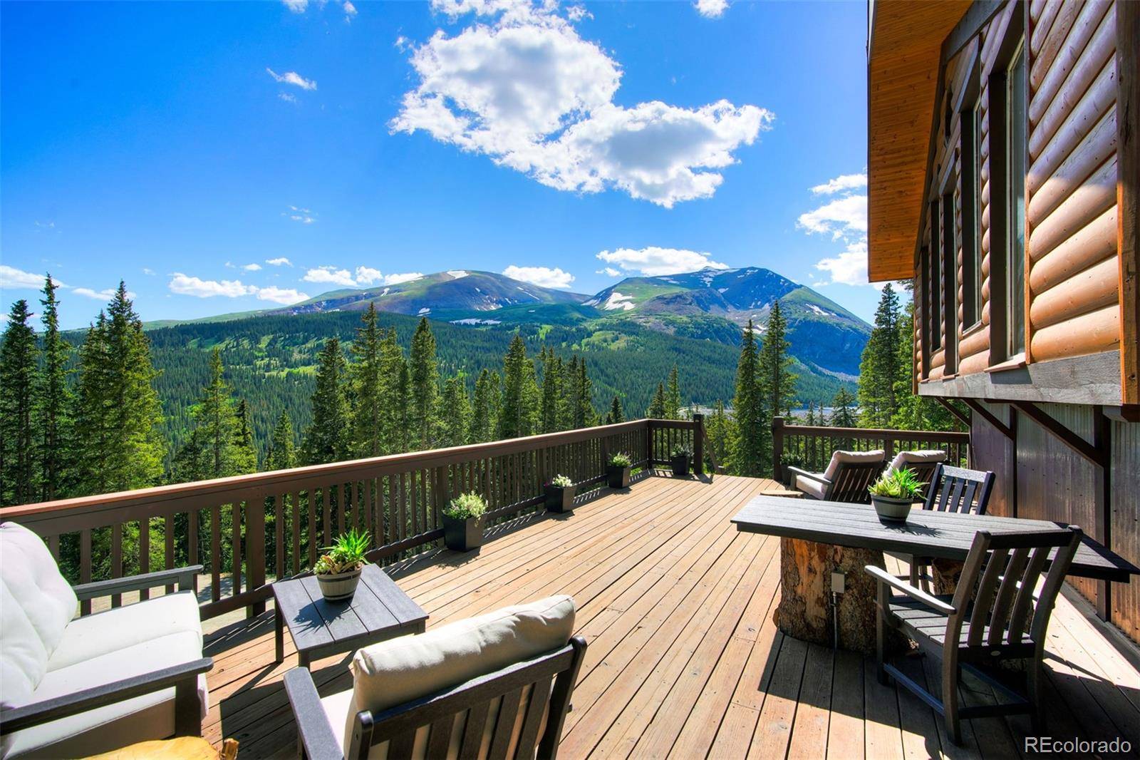 926 Nuthatch DR, Alma, CO 80420