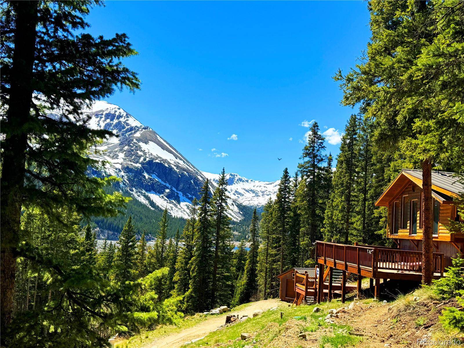 926 Nuthatch DR, Alma, CO 80420