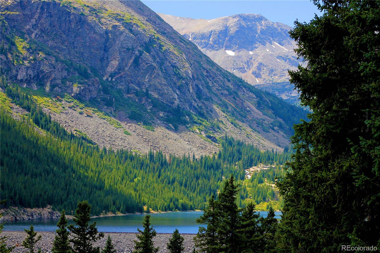 926 Nuthatch DR, Alma, CO 80420