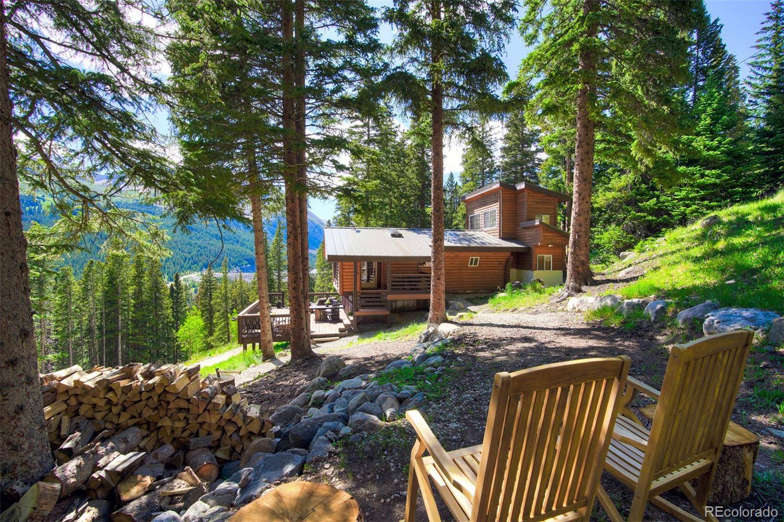 926 Nuthatch DR, Alma, CO 80420