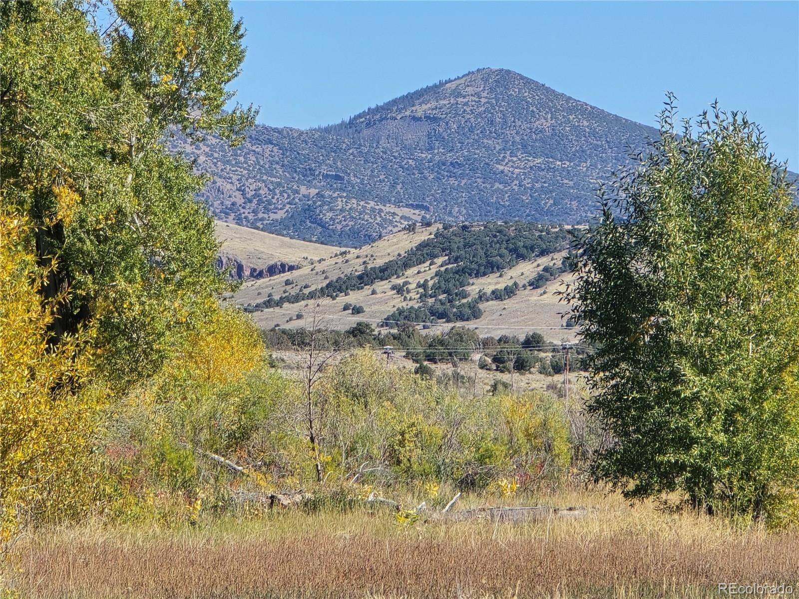 1862 River Island DR, South Fork, CO 81154