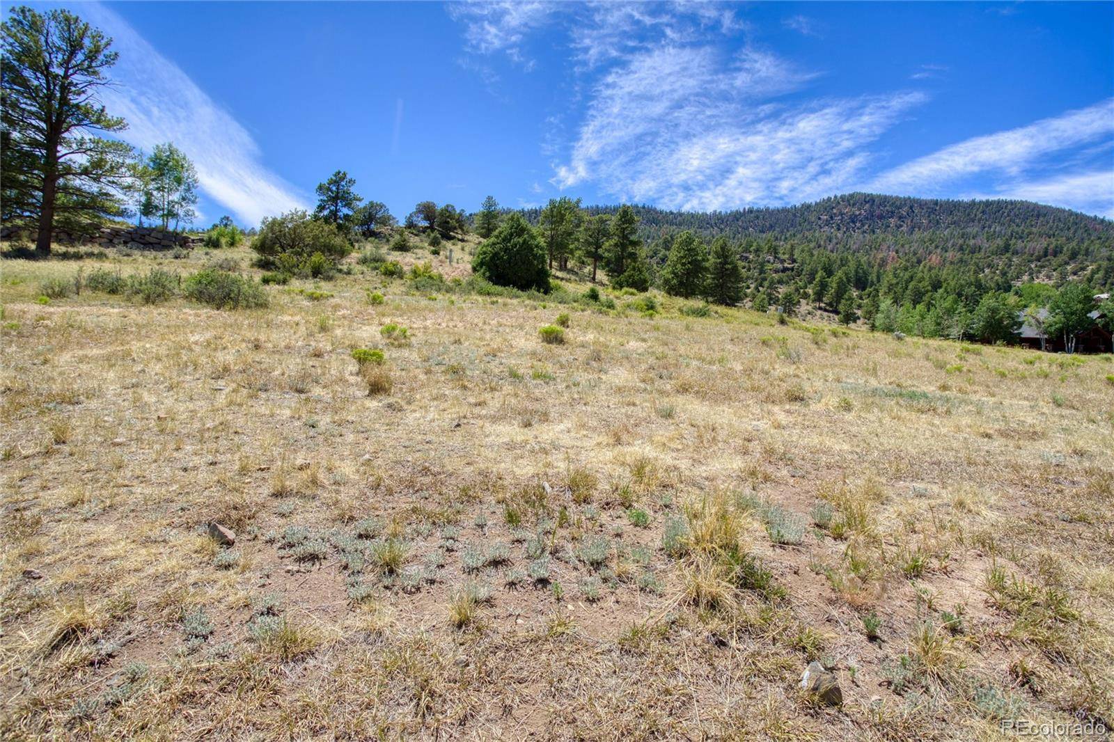 472 Rio Grande Club TRL, South Fork, CO 81154