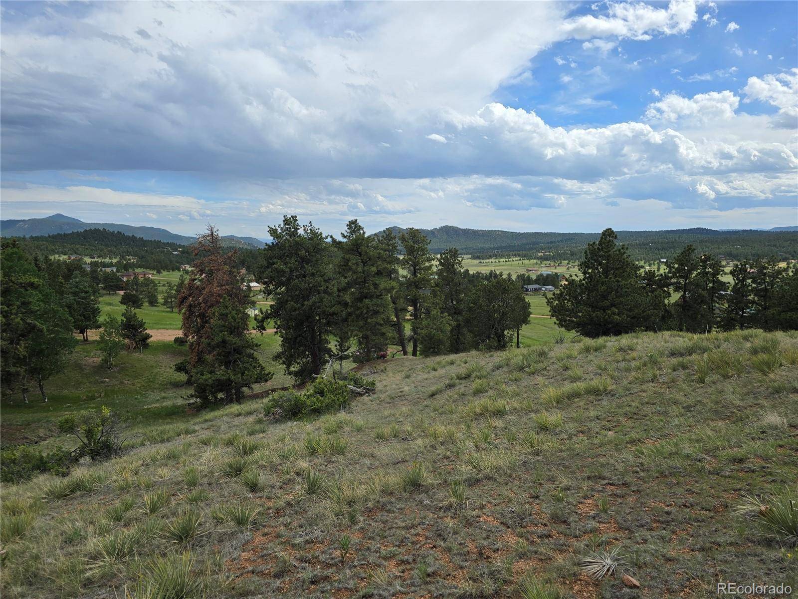 71 Elkhorn CIR, Florissant, CO 80816