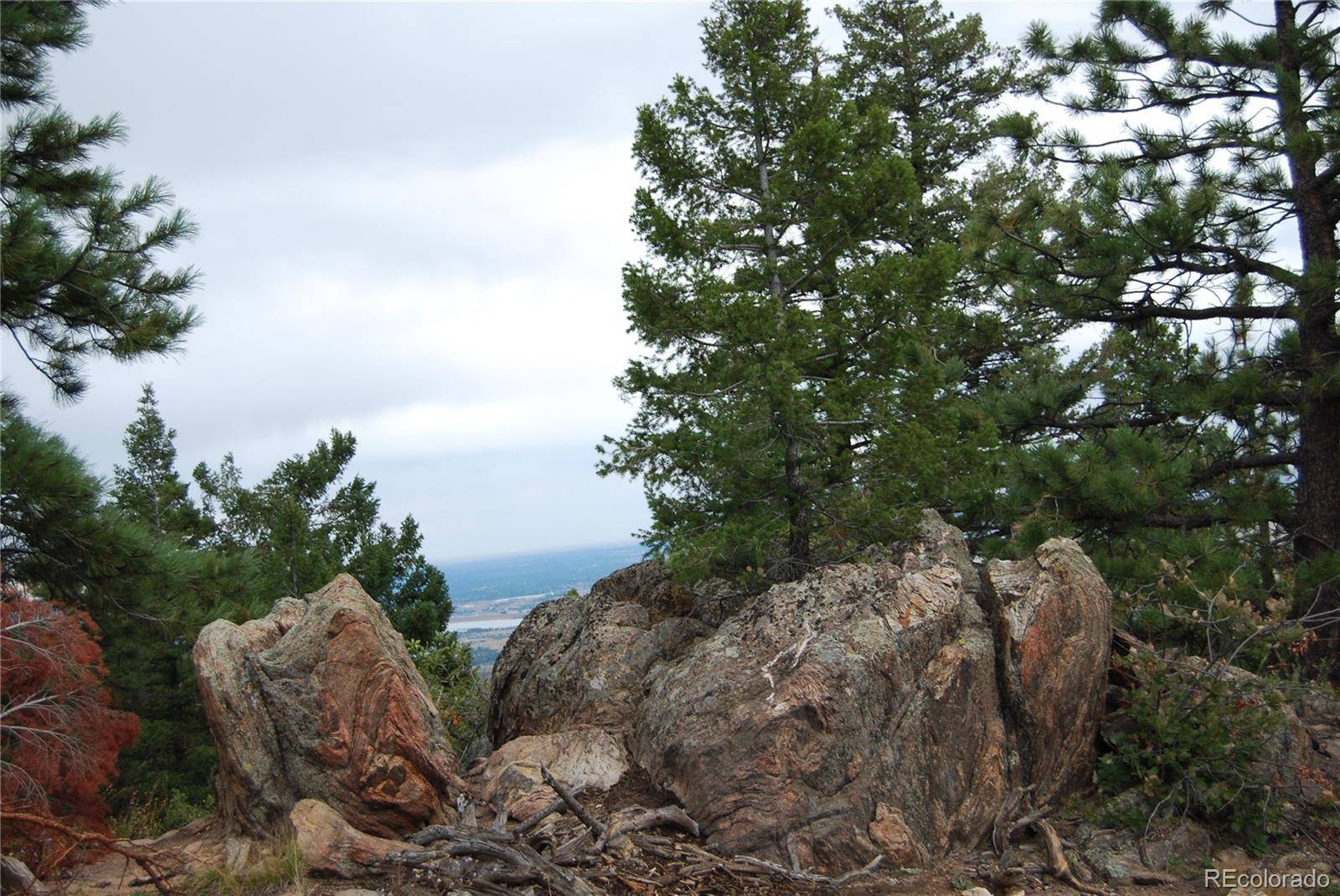 13927 Dancing Bear TRL, Littleton, CO 80127
