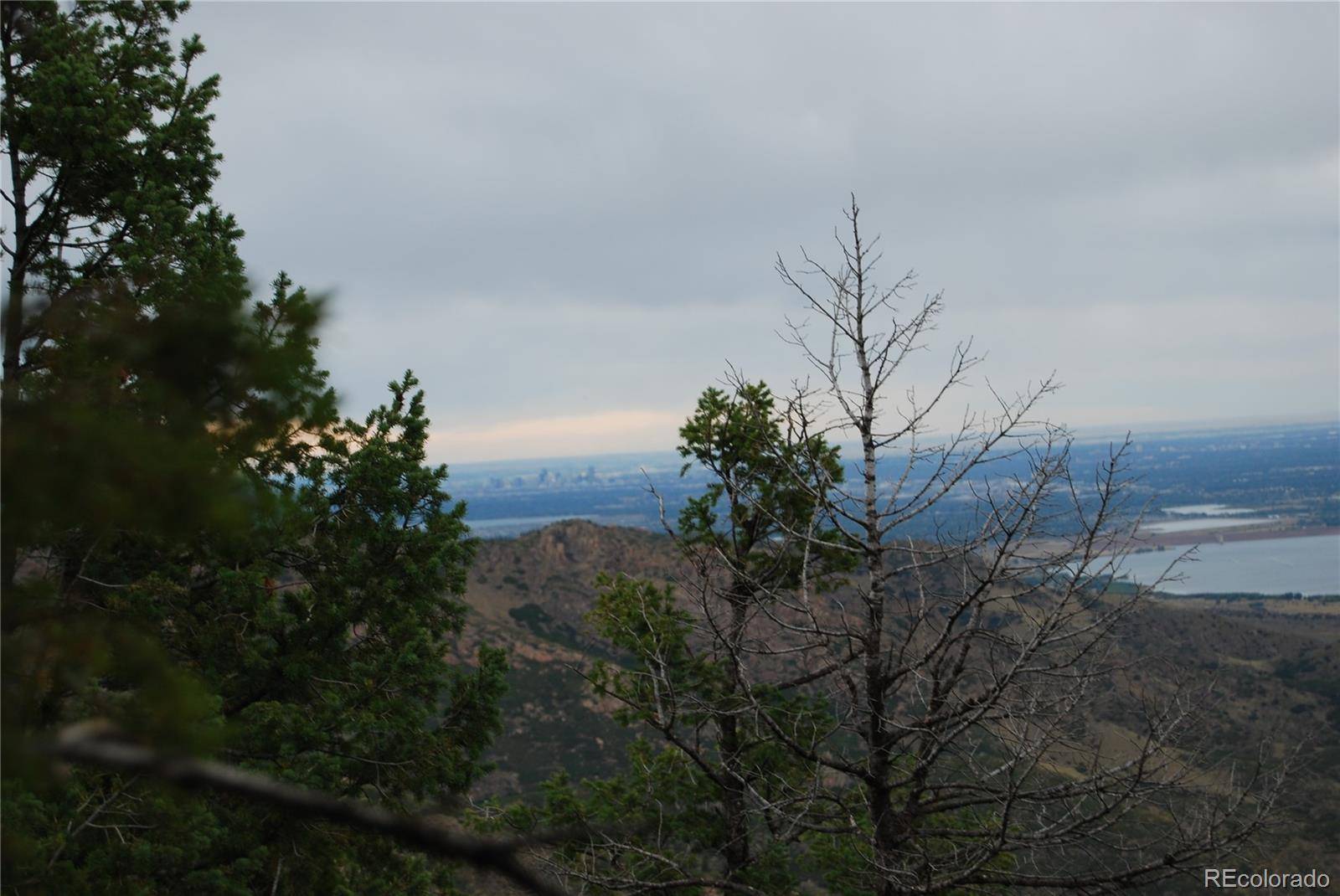 13927 Dancing Bear TRL, Littleton, CO 80127