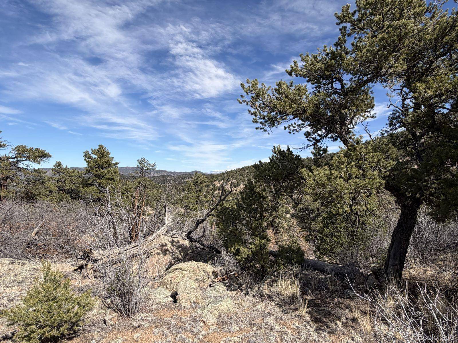 000 Redtail Trail, Texas Creek, CO 81223