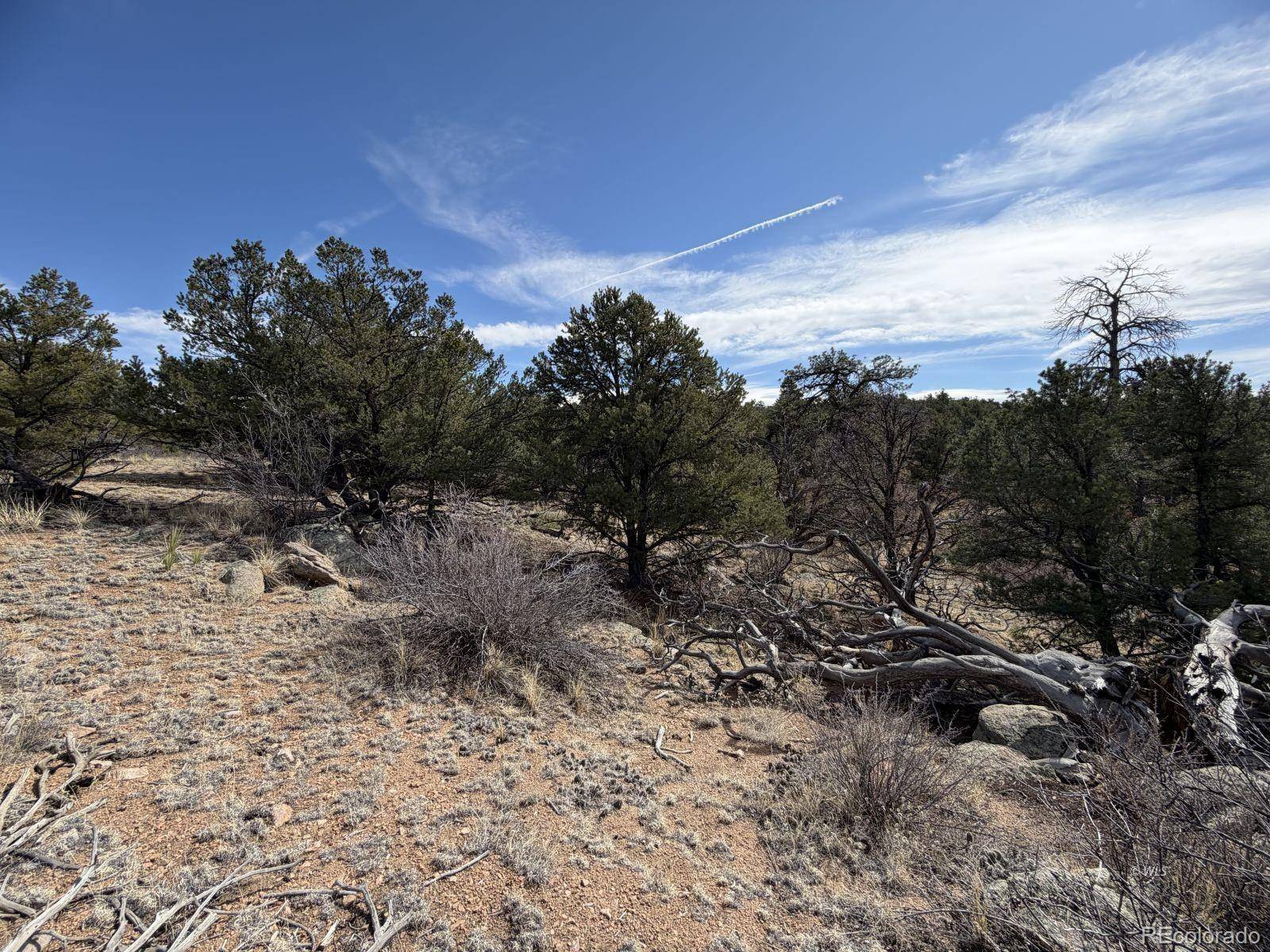 000 Redtail Trail, Texas Creek, CO 81223