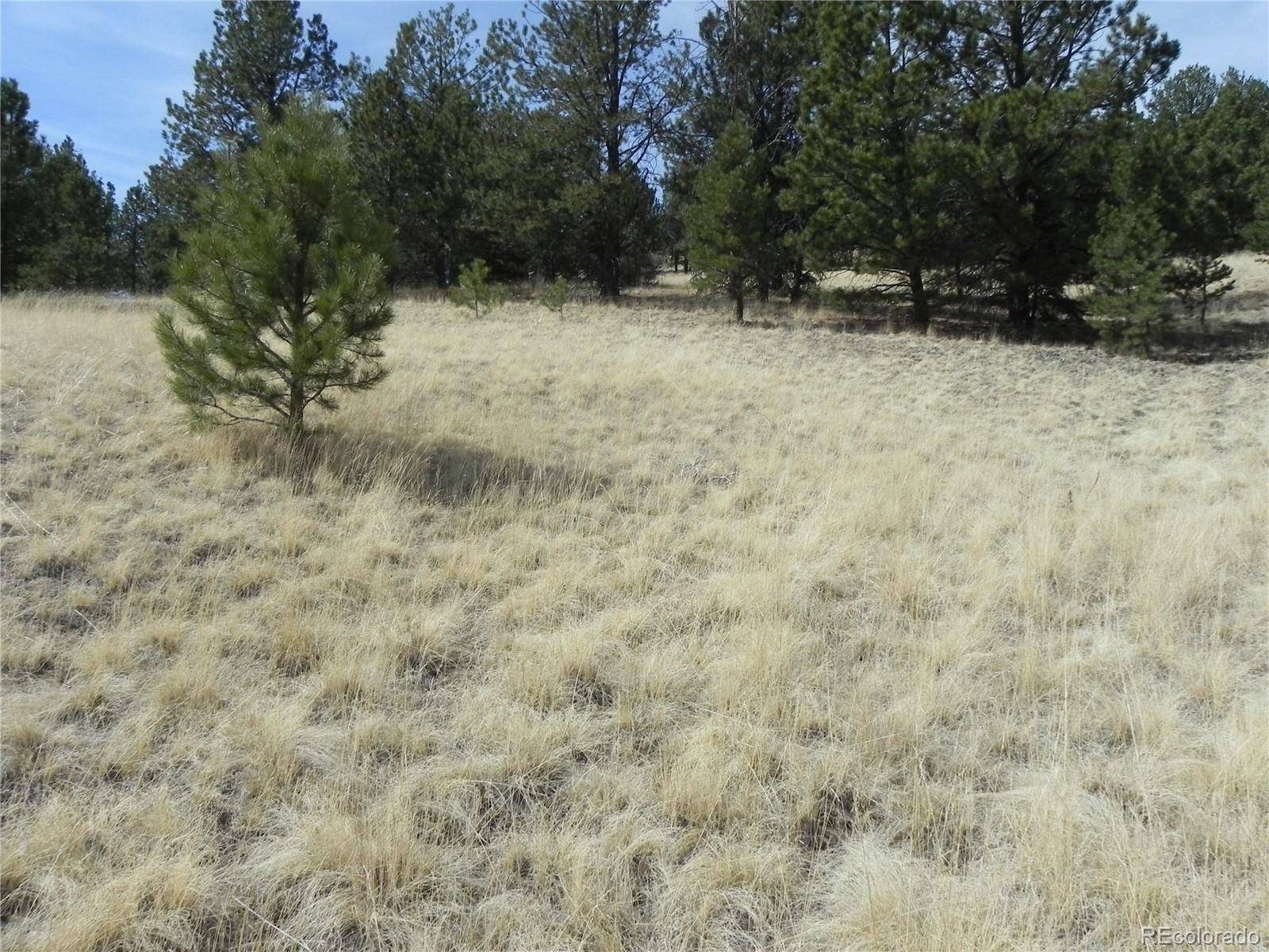 1058 Monarch DR, Cripple Creek, CO 80813