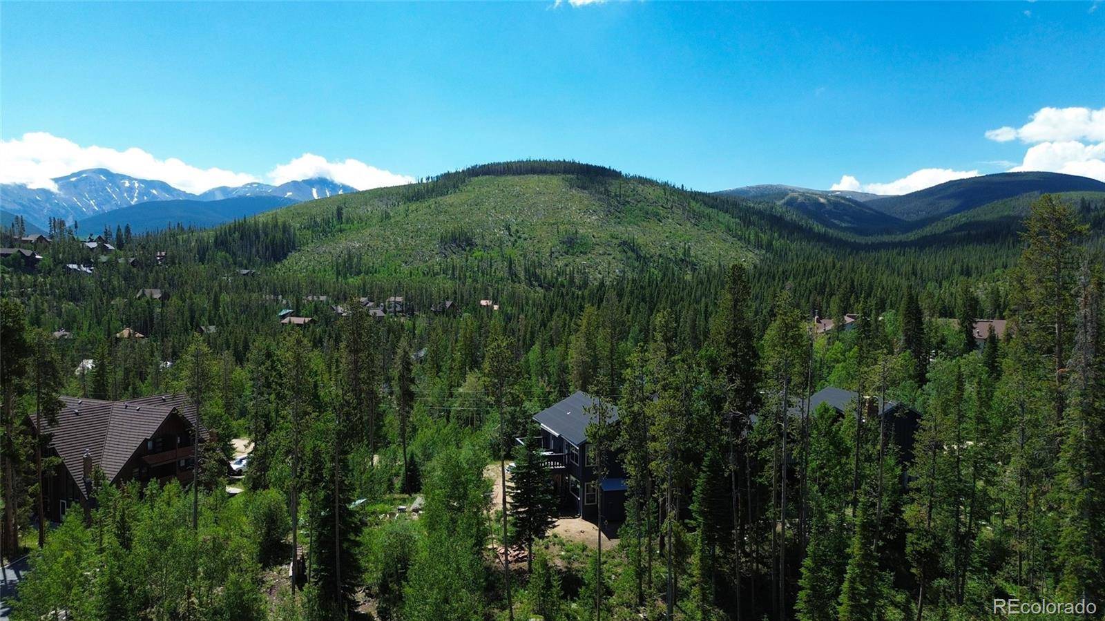 121 Elk TRL #6, Winter Park, CO 80482
