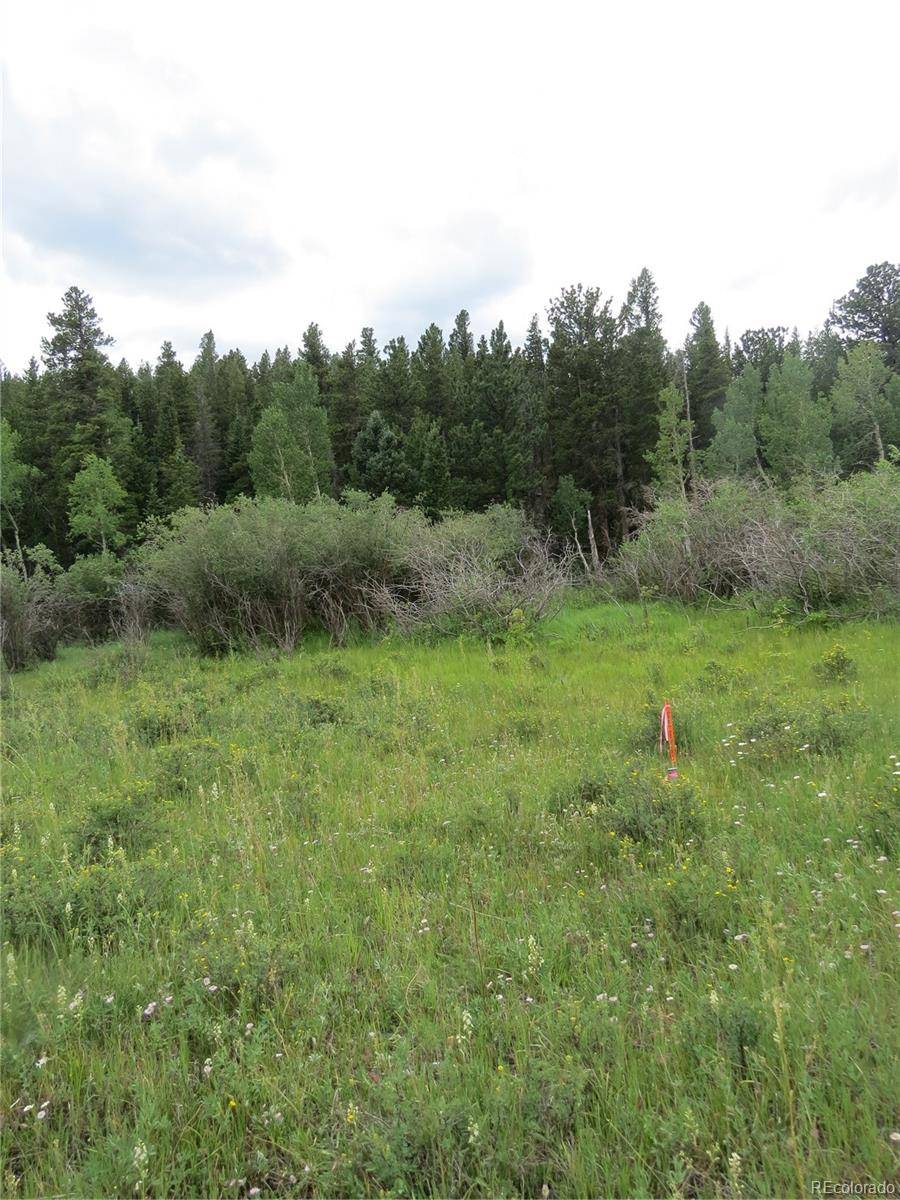Peak to Peak Hwy, Nederland, CO 80466