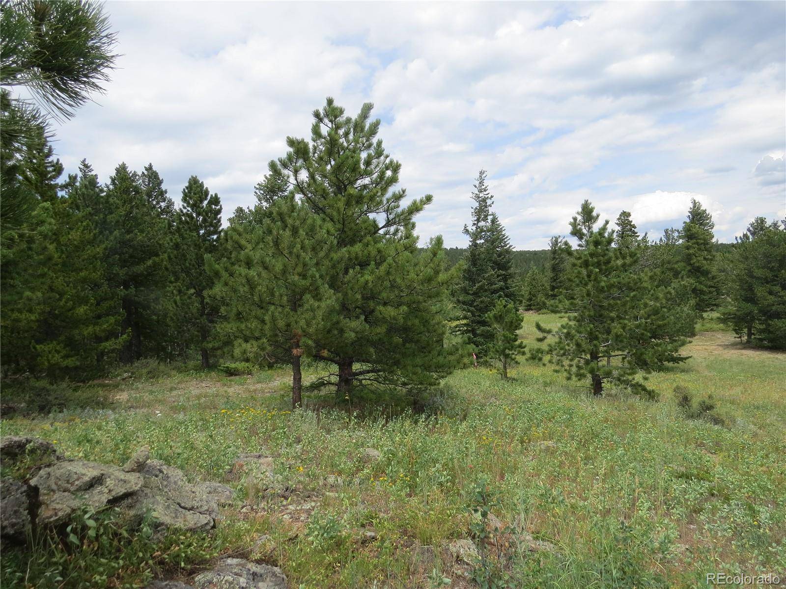 Peak to Peak Hwy, Nederland, CO 80466