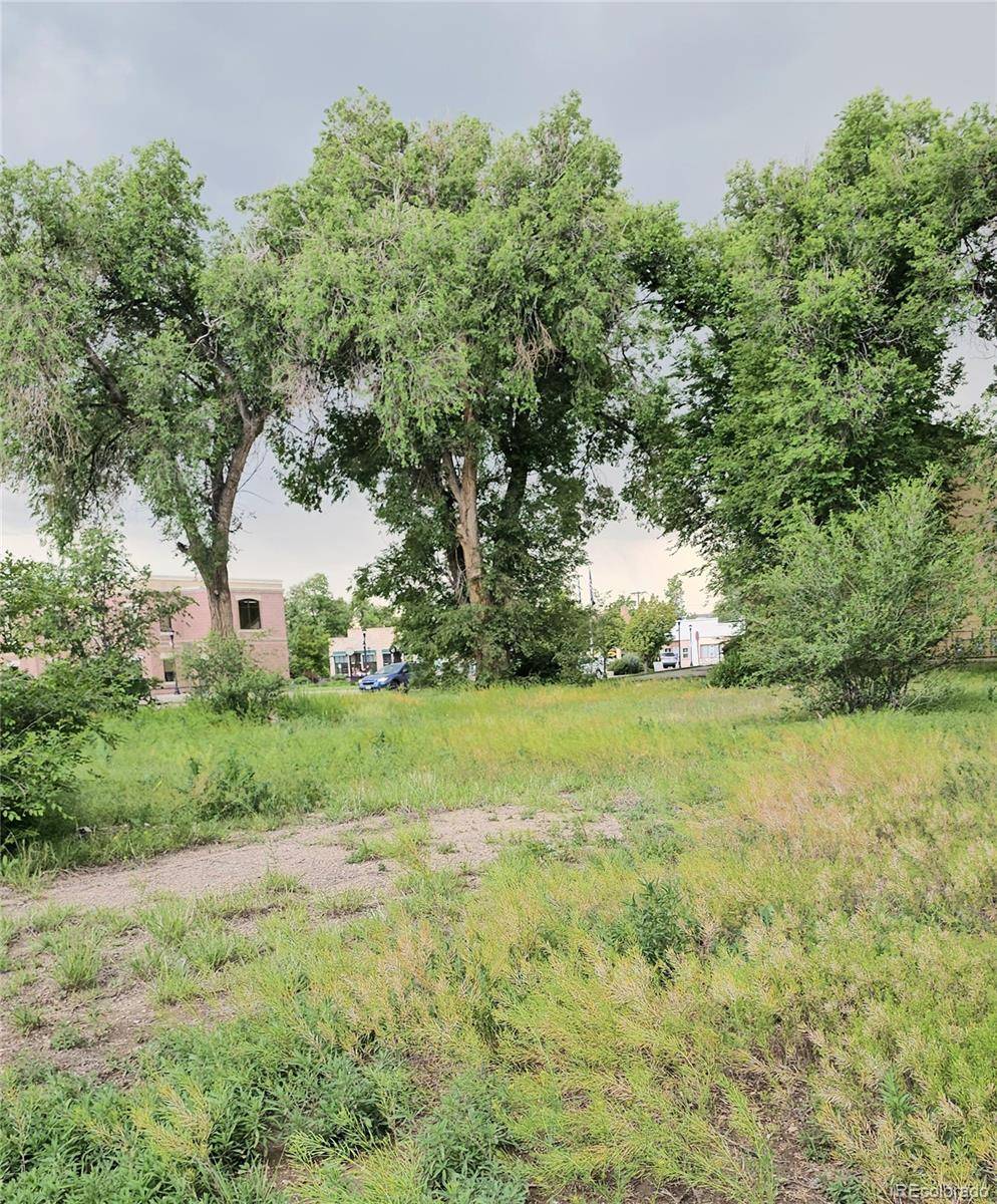 119 E Ohio AVE, Fountain, CO 80817