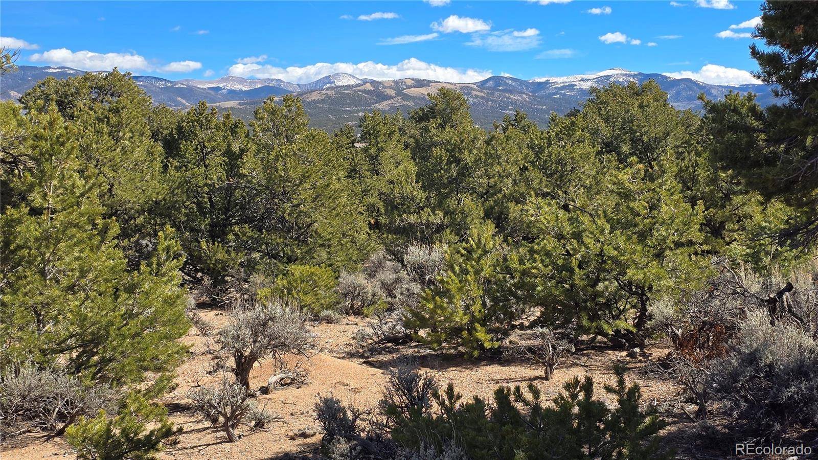 Lot 409 Williams RD, Fort Garland, CO 81133