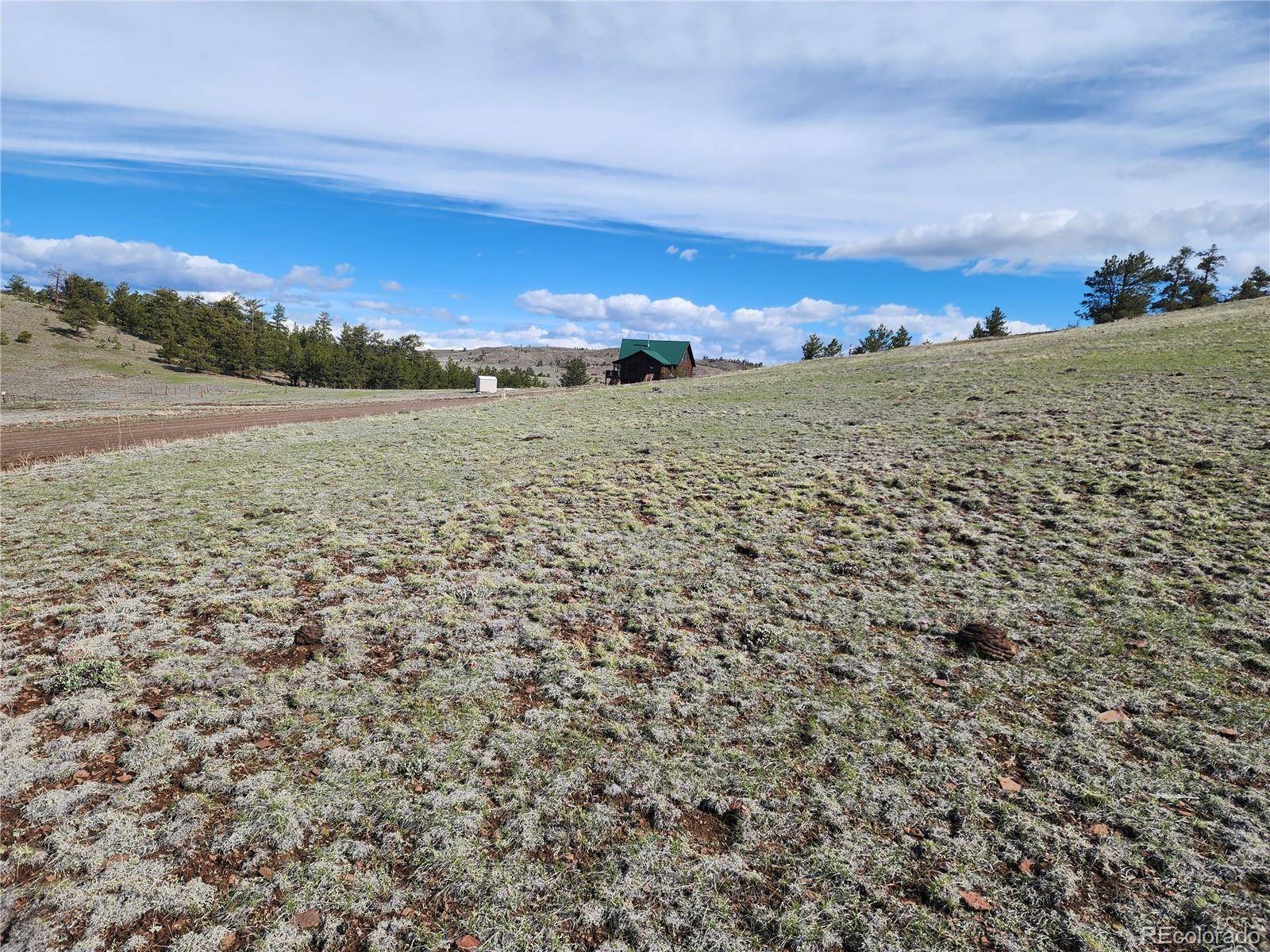 558 Chickadee DR, Hartsel, CO 80449