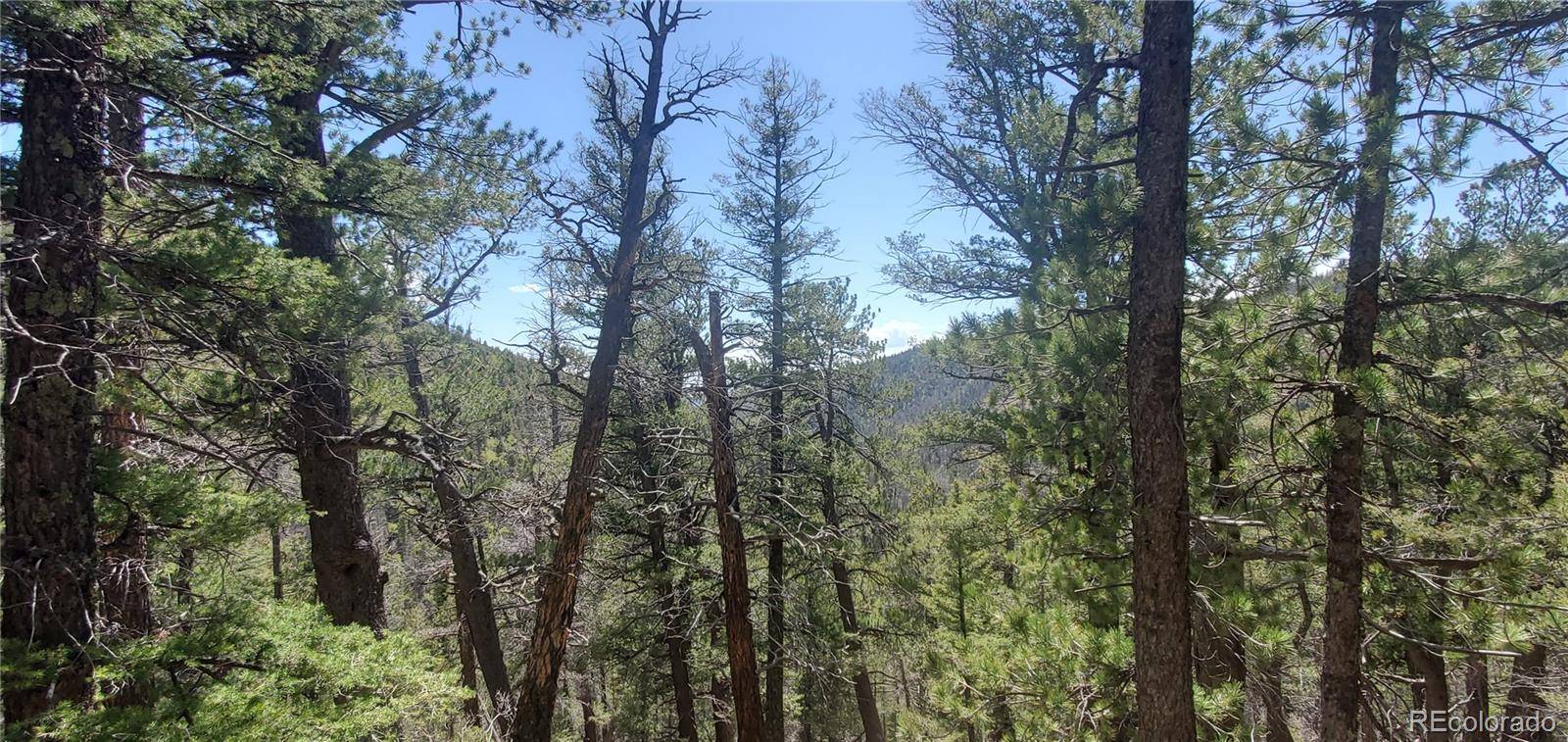Lot 6764 Kerrigan RD, Fort Garland, CO 81133