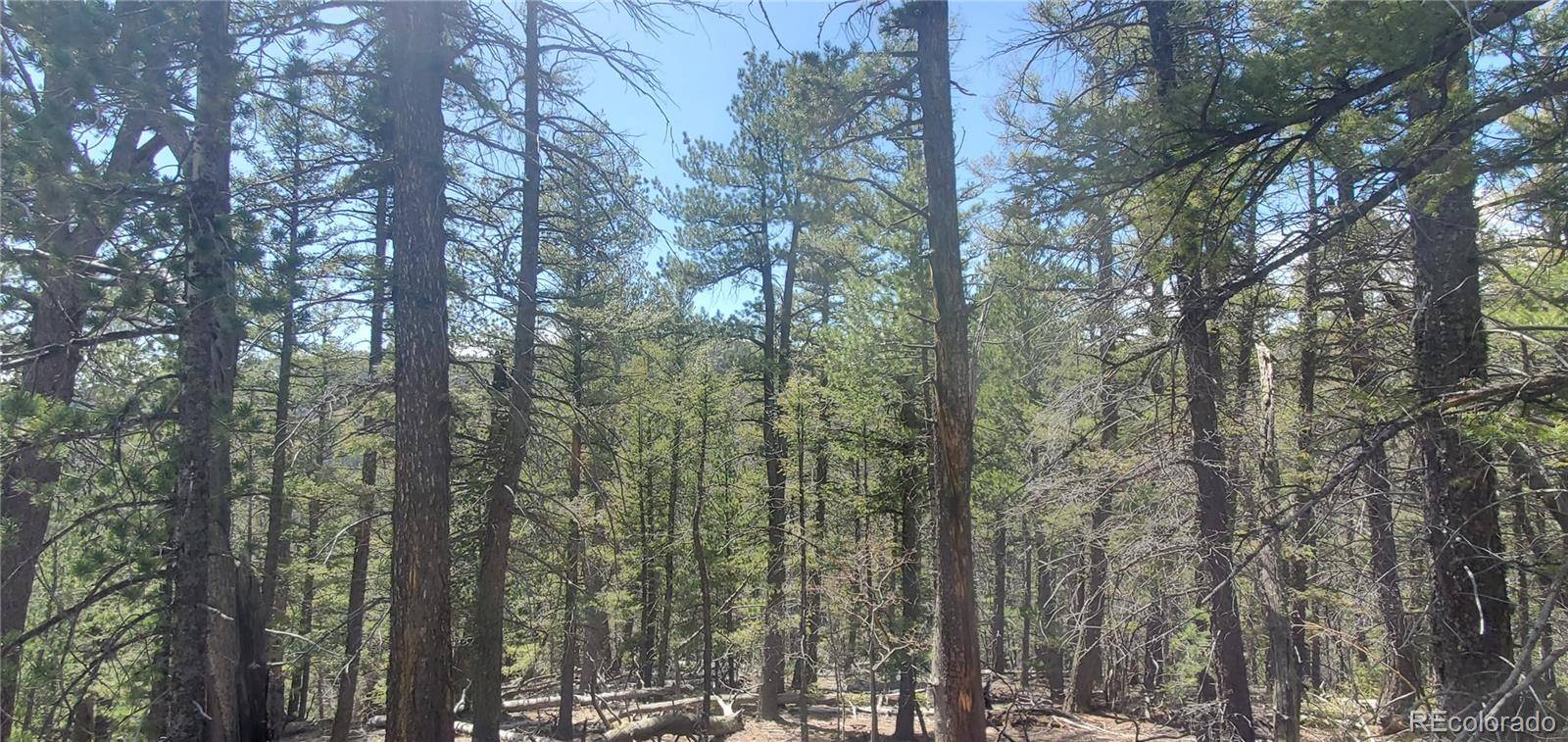Lot 6764 Kerrigan RD, Fort Garland, CO 81133