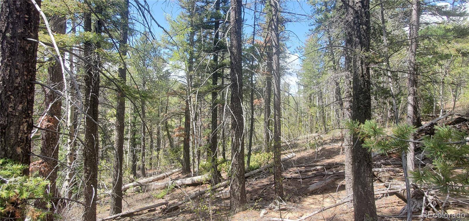 Lot 6764 Kerrigan RD, Fort Garland, CO 81133