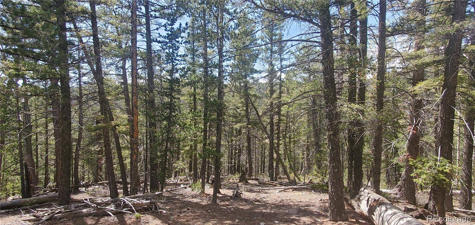 Lot 6764 Kerrigan RD, Fort Garland, CO 81133