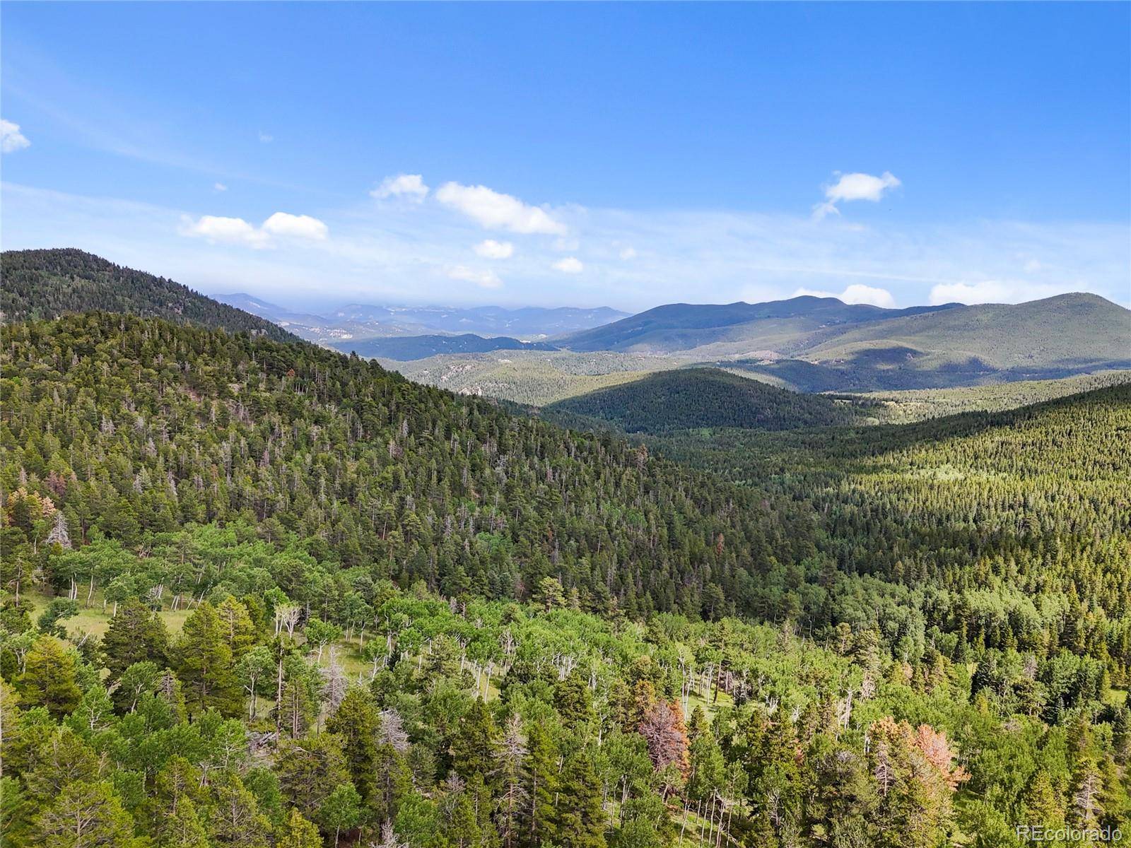 3665 Beaver Brook Canyon RD, Evergreen, CO 80439