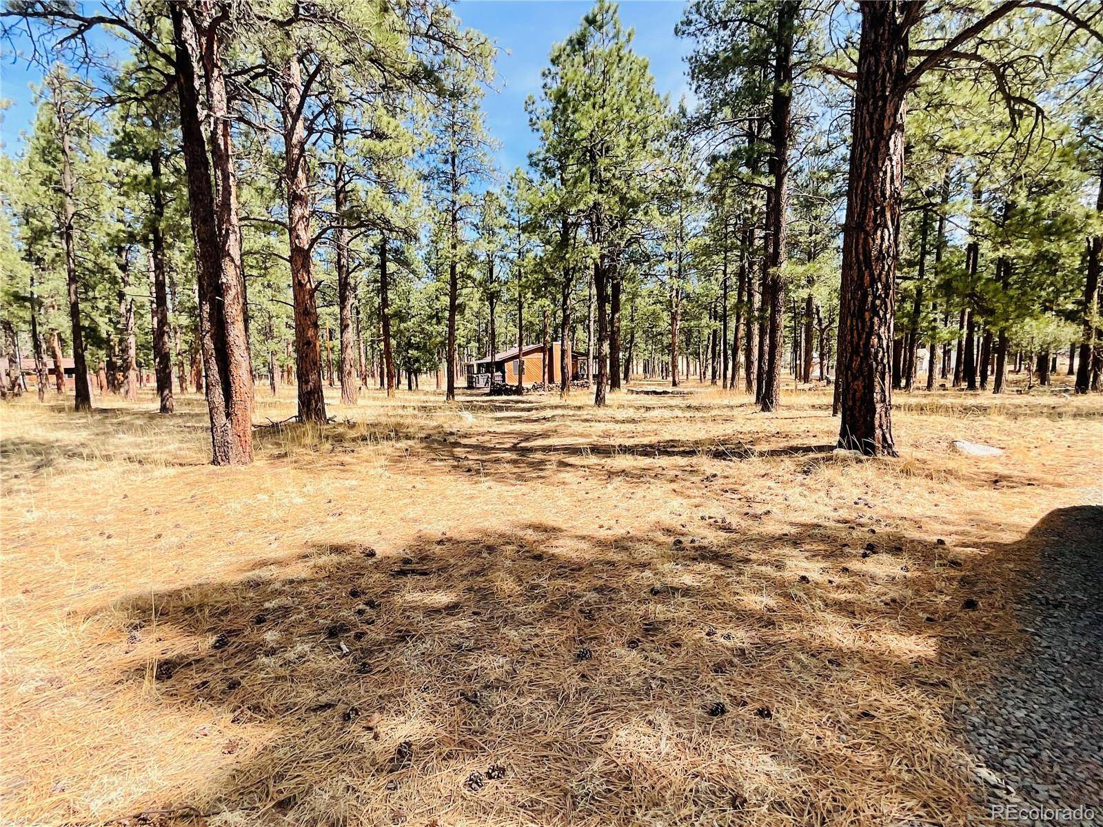 BLK2 LOT 7, Weston, CO 81091