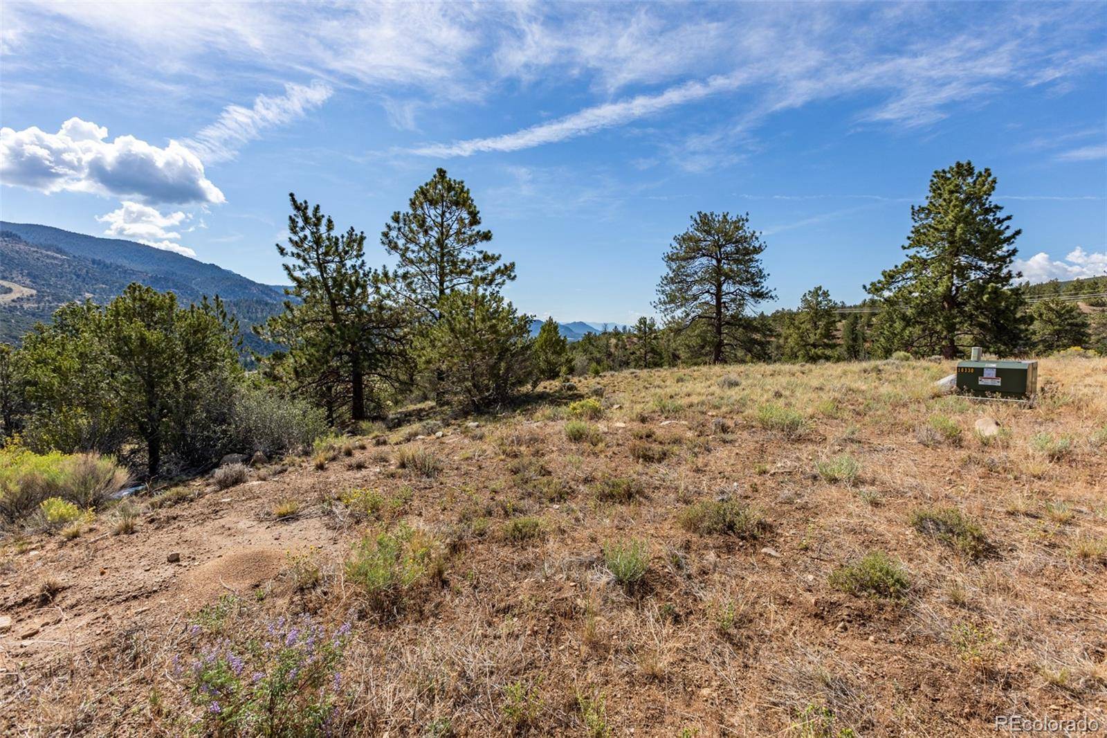 18322 S Lake RD, Buena Vista, CO 81211