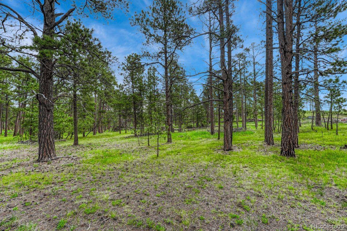 000 Wyandott DR, Colorado Springs, CO 80908