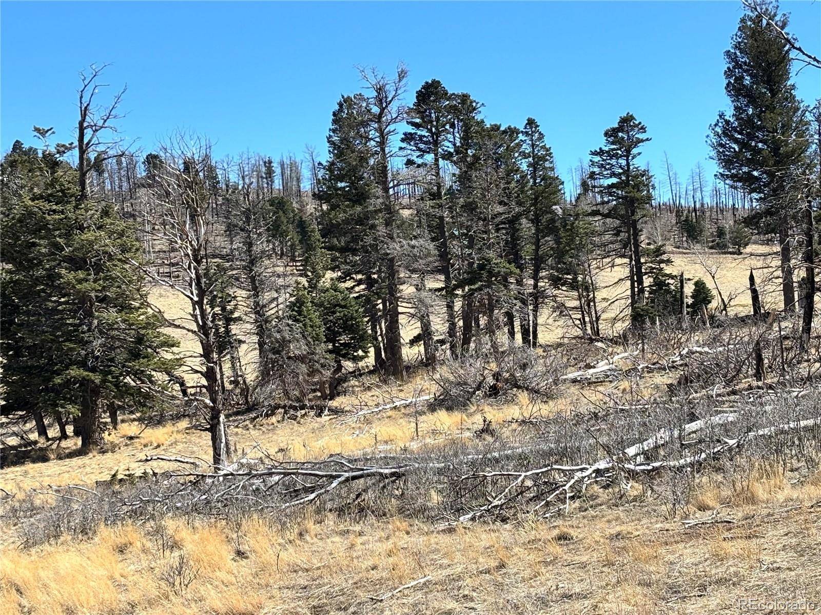 00 Forbes Park Rd., Fort Garland, CO 81133