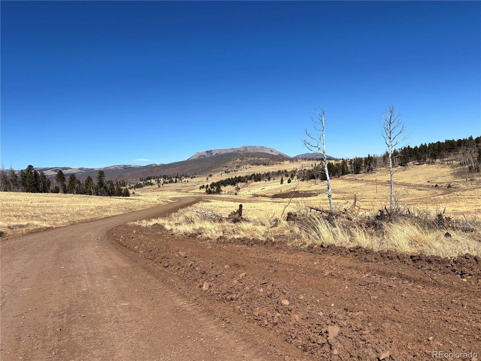 00 Forbes Park Rd., Fort Garland, CO 81133