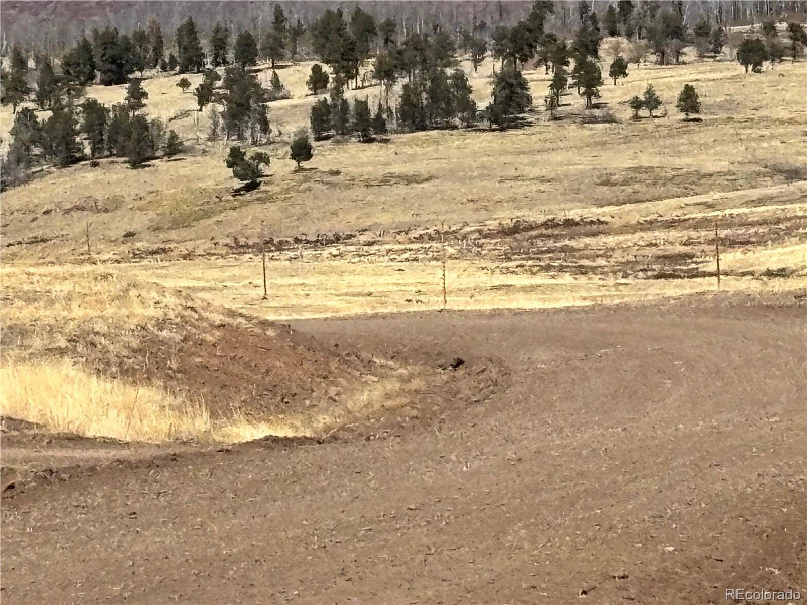00 Forbes Park Rd., Fort Garland, CO 81133