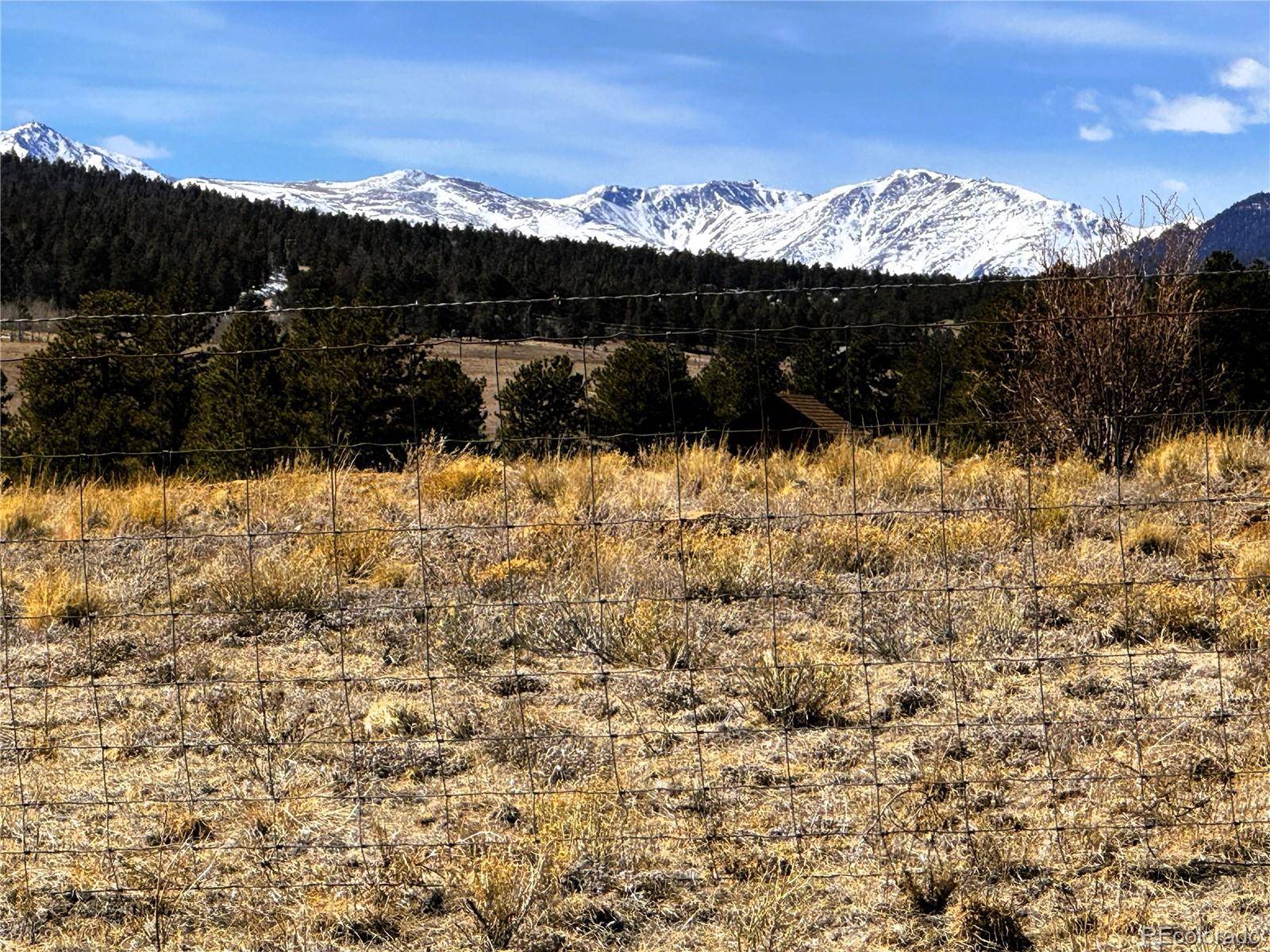 225 Wagon Wheel RD, Hartsel, CO 80449