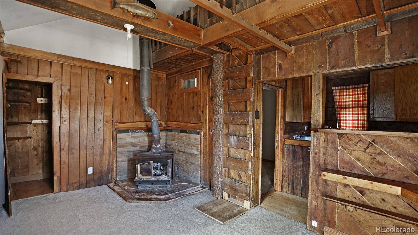 2275 Shelton DR, Bailey, CO 80421