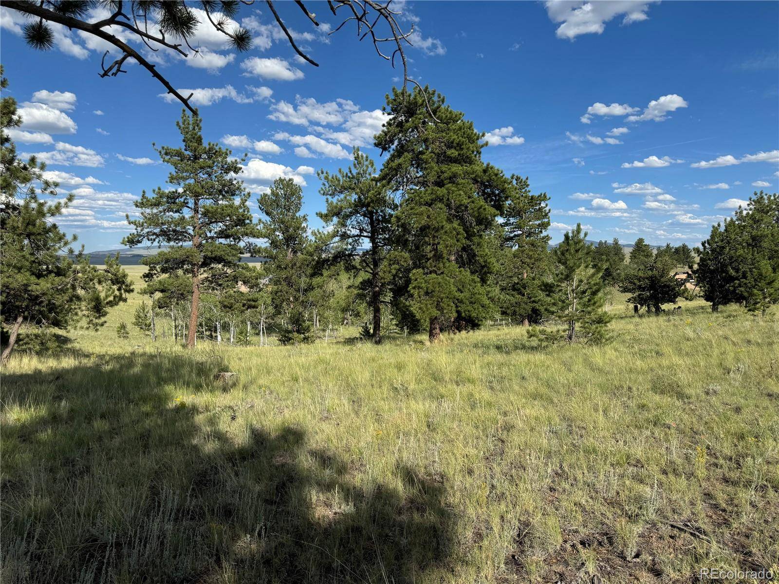 833 Angus CIR, Hartsel, CO 80449