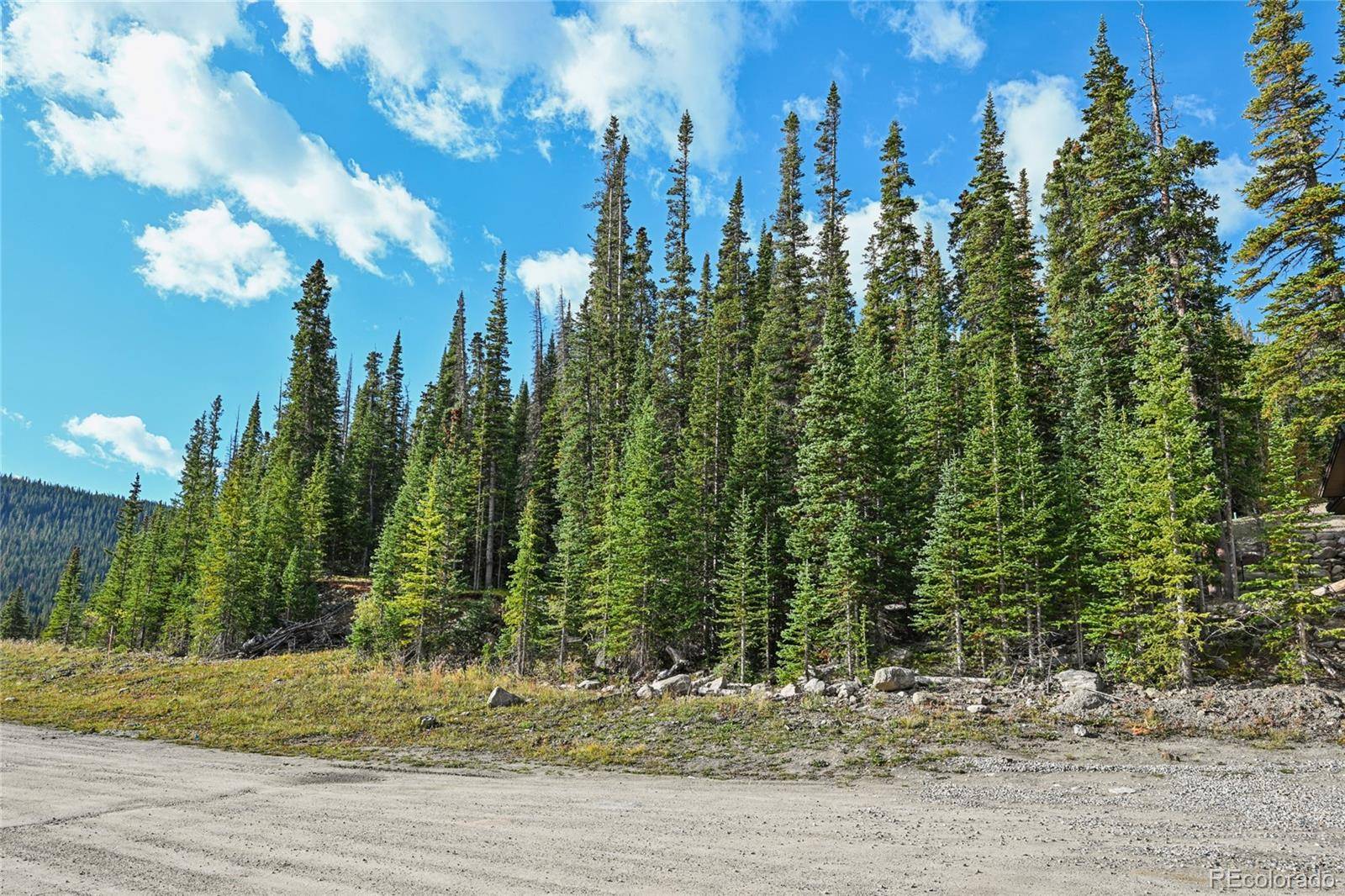 159 Hamilton LN, Breckenridge, CO 80424