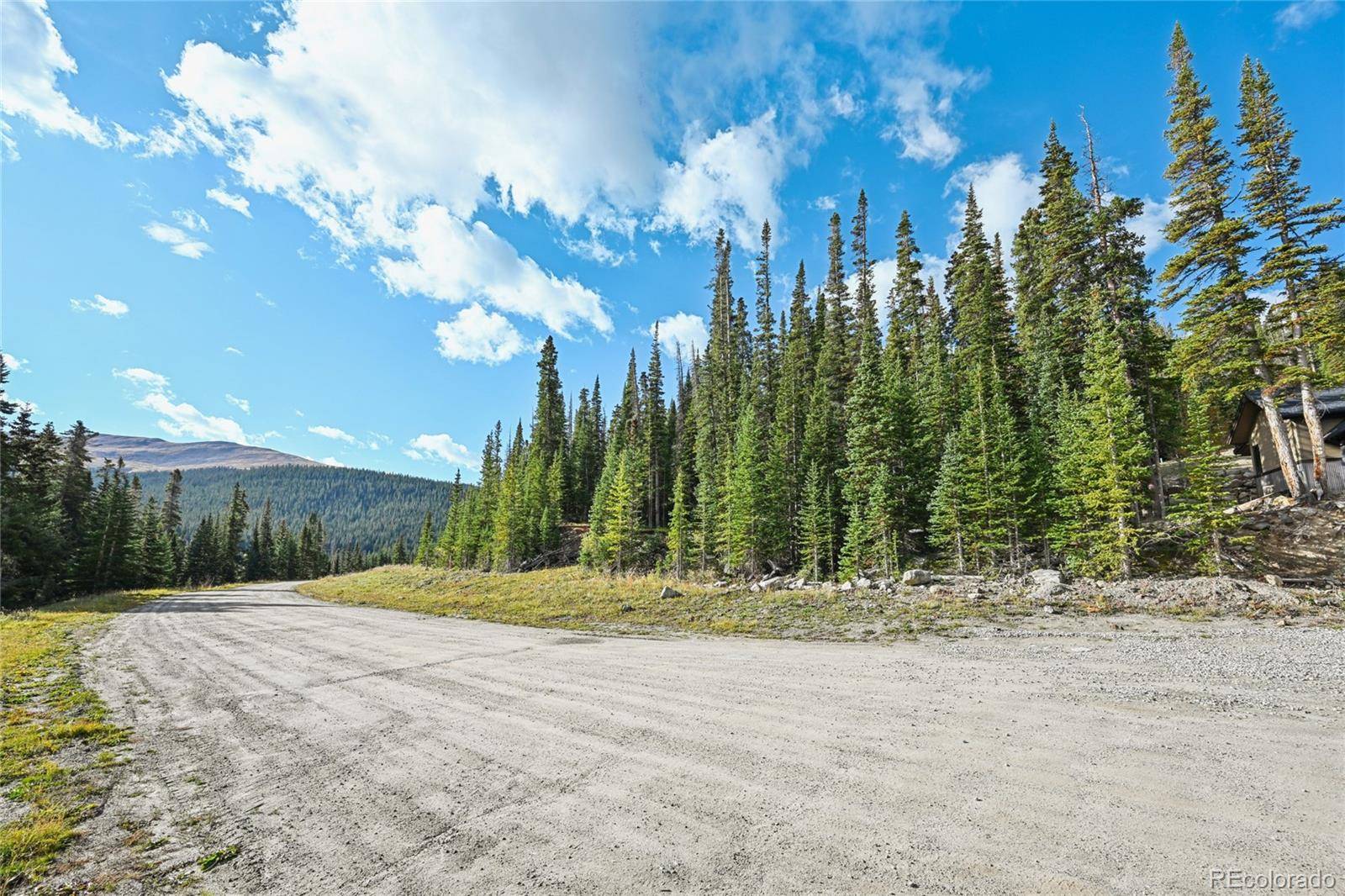 159 Hamilton LN, Breckenridge, CO 80424