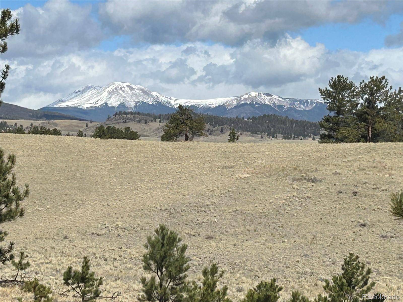 517 Brahma CIR, Hartsel, CO 80449
