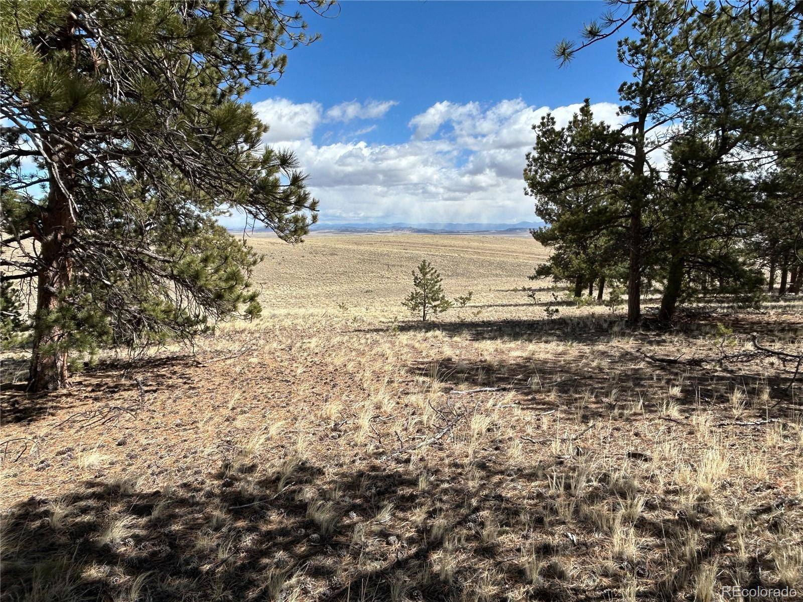 517 Brahma CIR, Hartsel, CO 80449