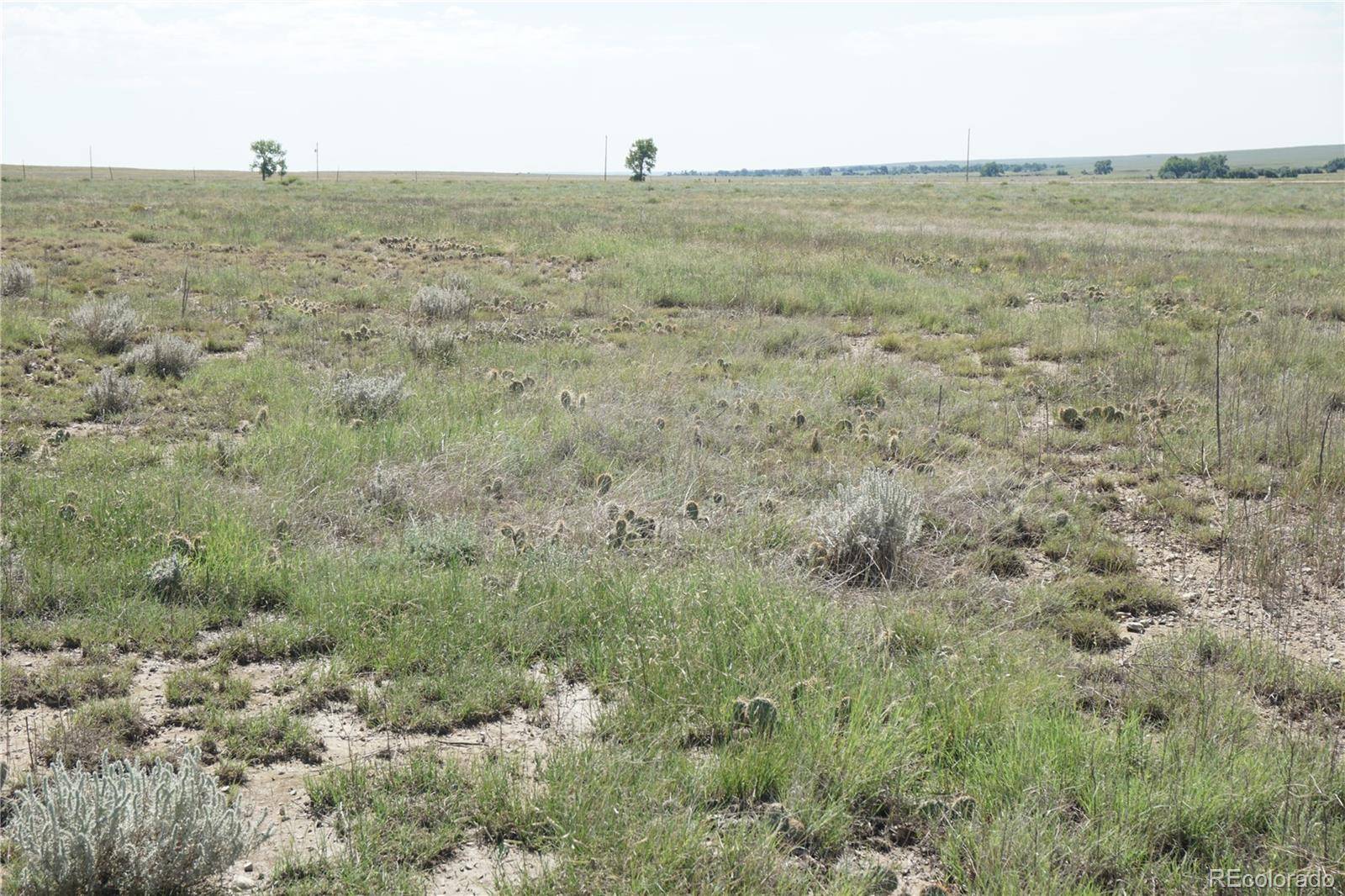 12580 County Road Z.5, Rush, CO 80833