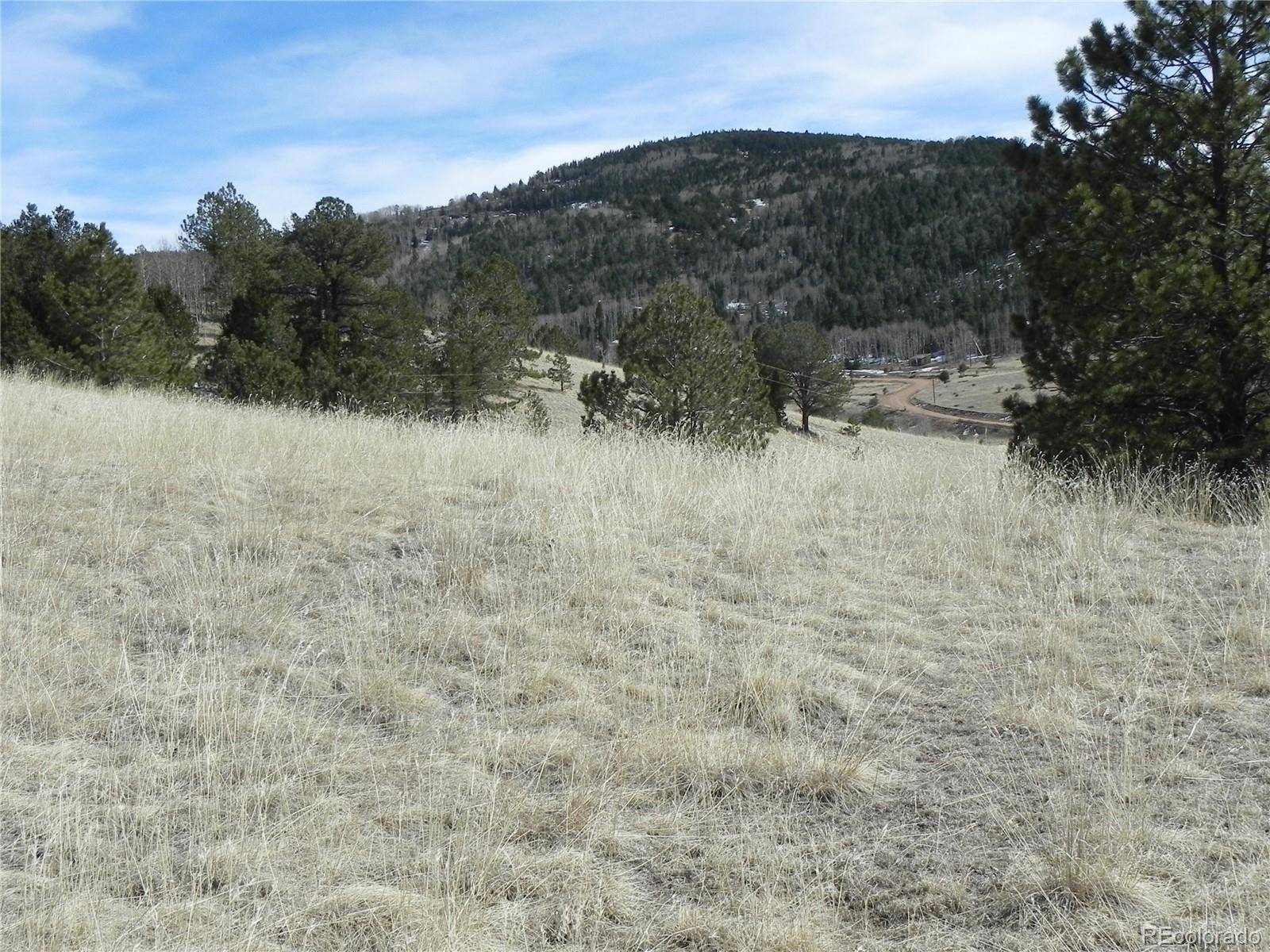 1087 Monarch DR, Cripple Creek, CO 80813
