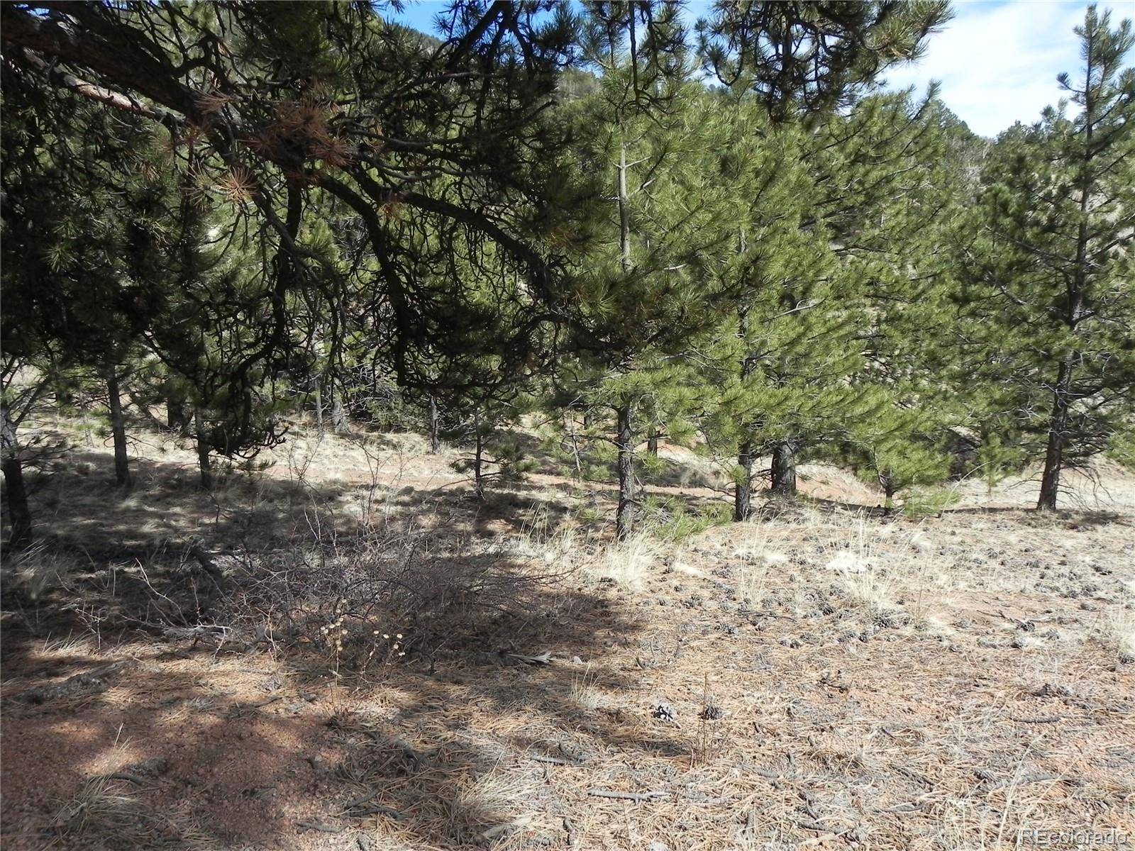 1087 Monarch DR, Cripple Creek, CO 80813