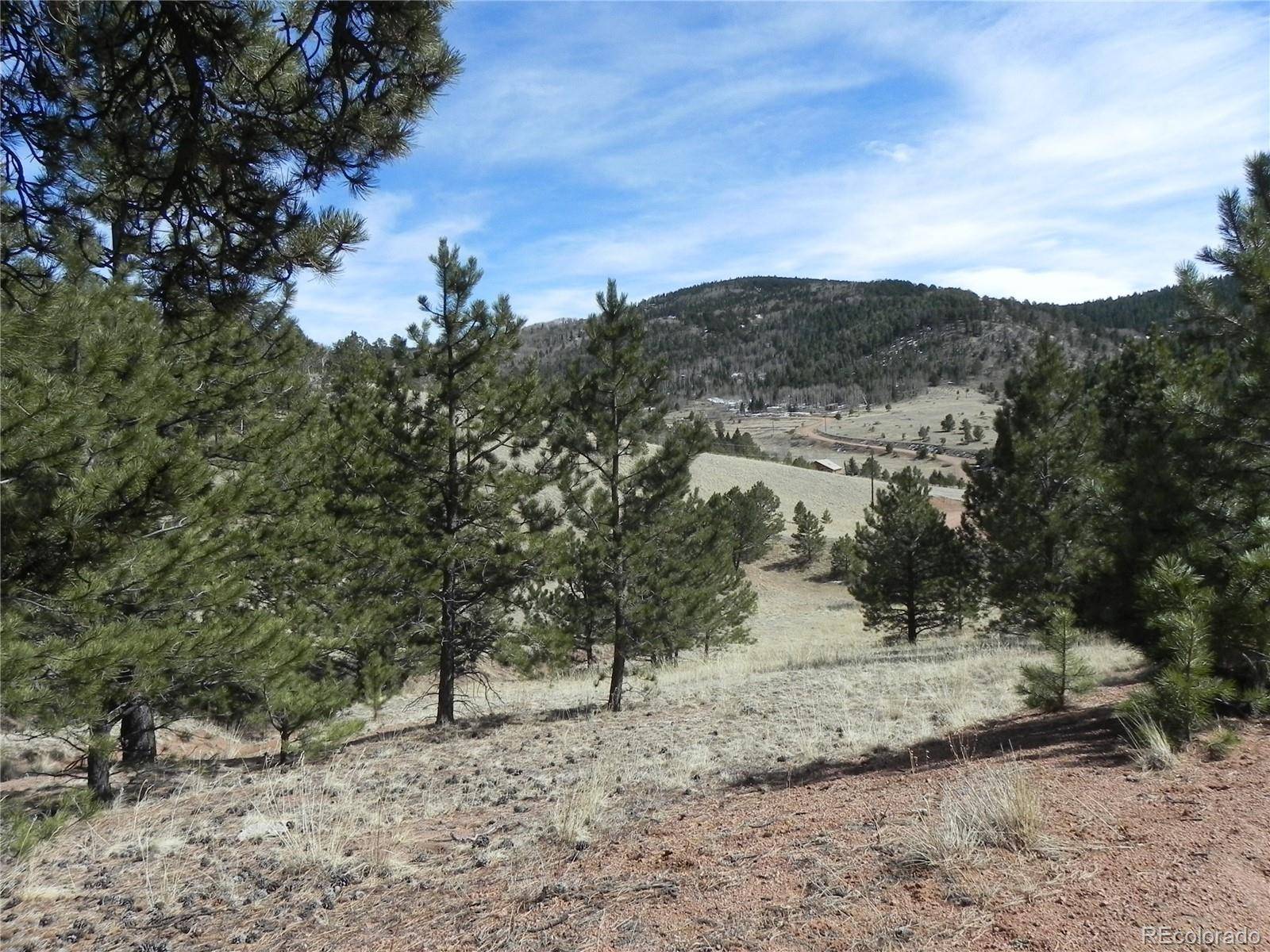 1087 Monarch DR, Cripple Creek, CO 80813
